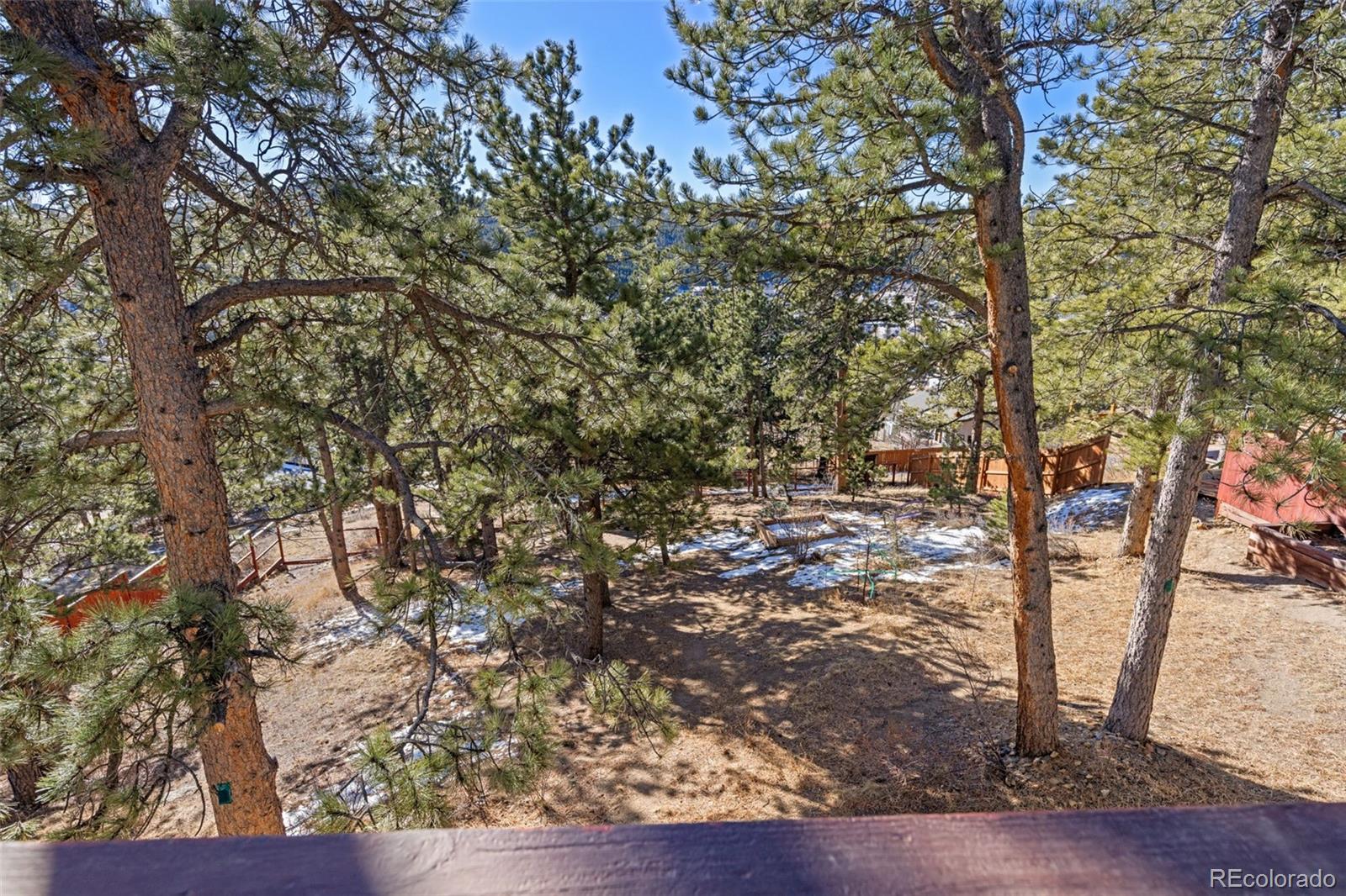 MLS Image #40 for 2  king place,nederland, Colorado