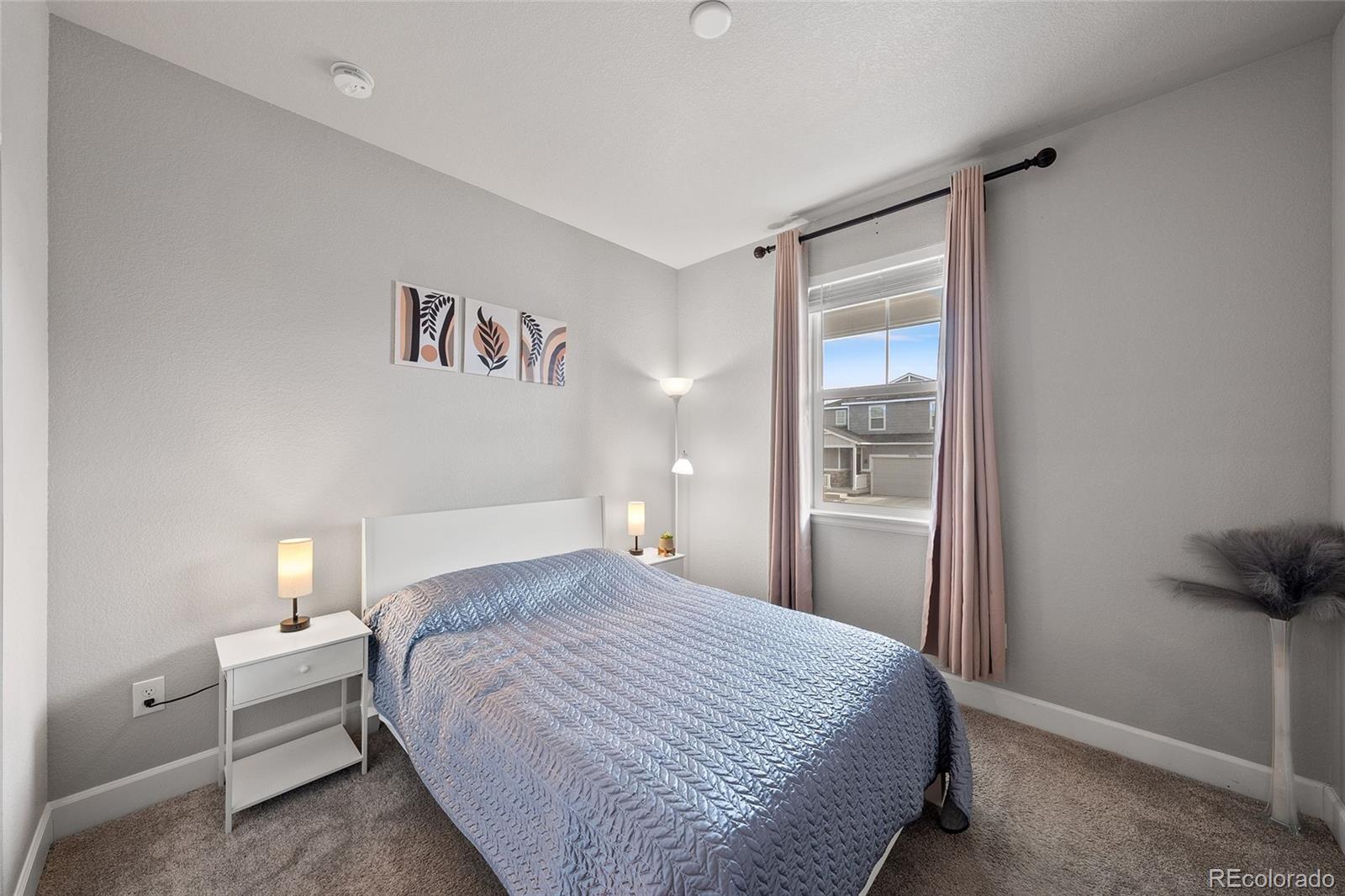 MLS Image #18 for 3807  red valley lane,castle rock, Colorado