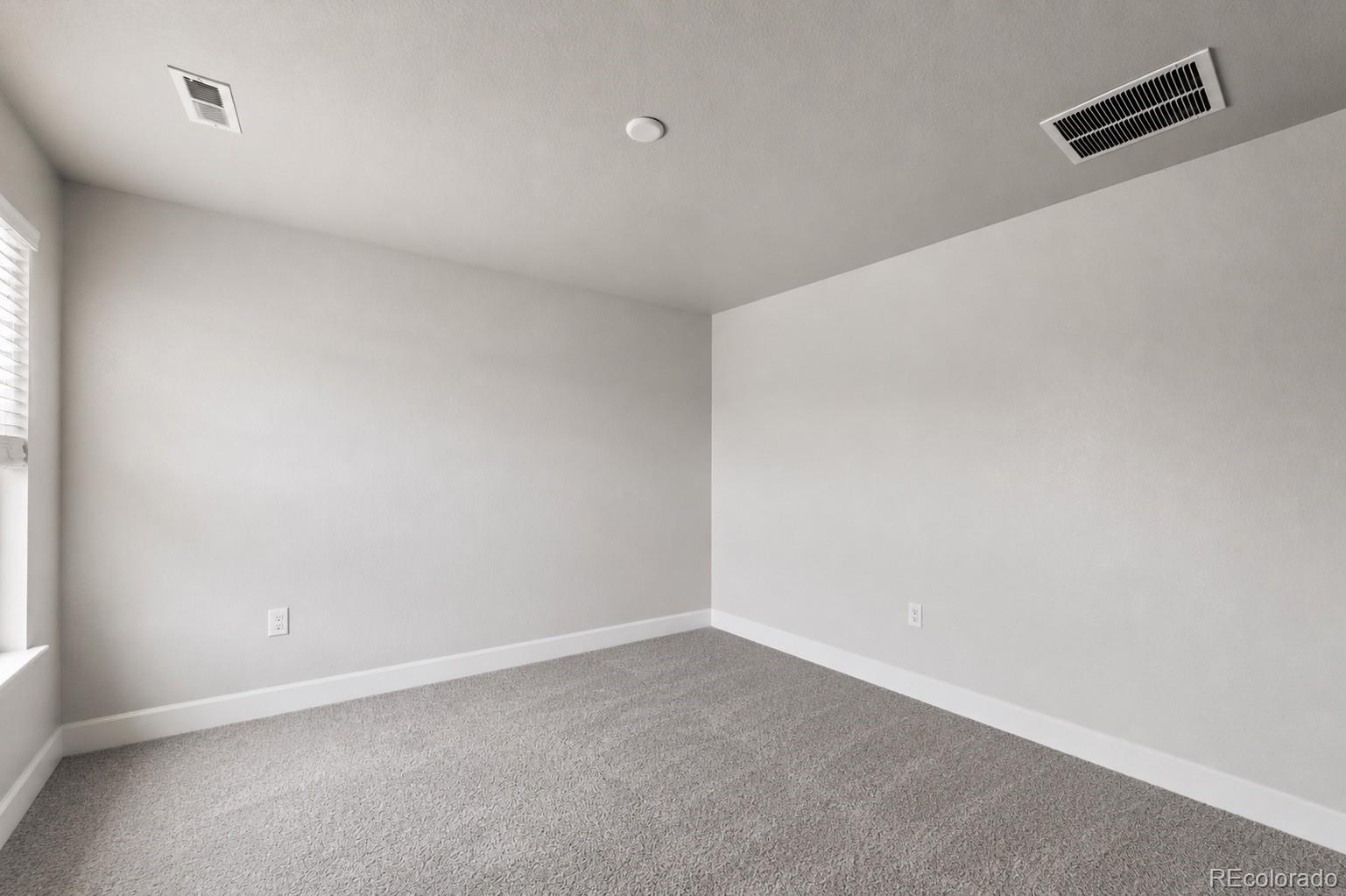 MLS Image #26 for 3807  red valley lane,castle rock, Colorado