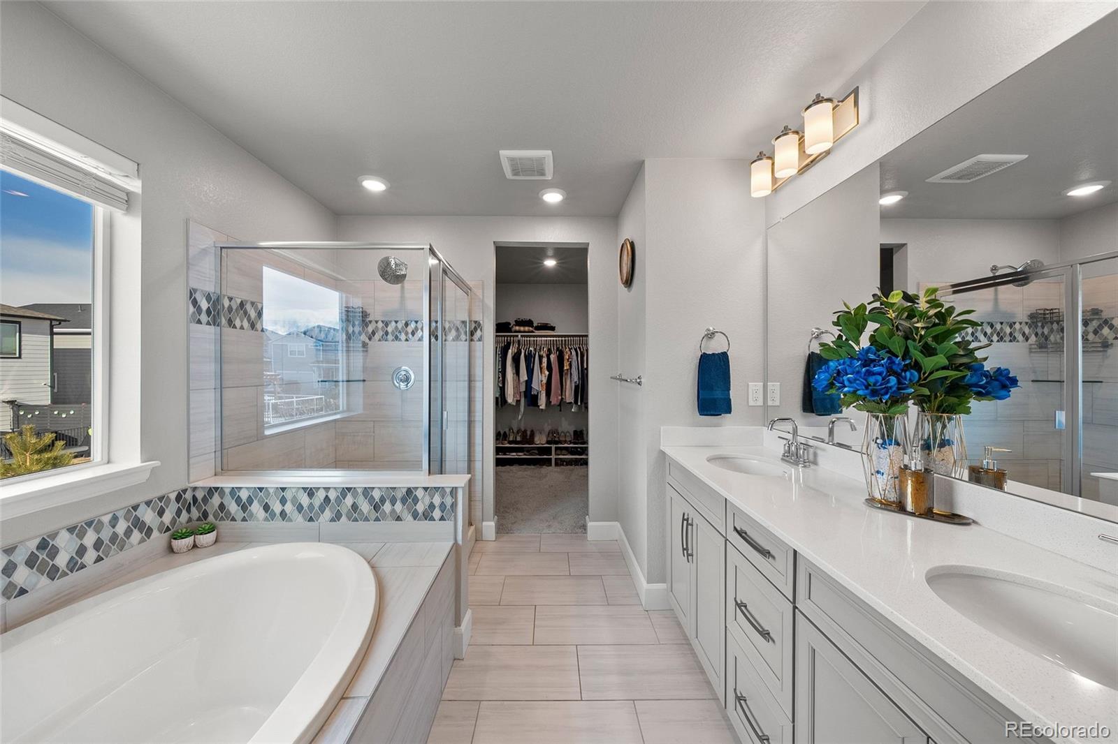 MLS Image #4 for 3807  red valley lane,castle rock, Colorado