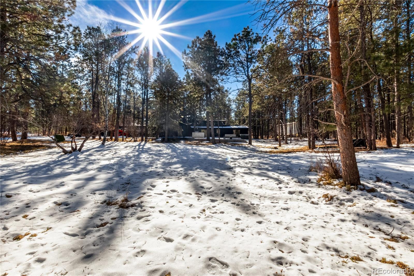 MLS Image #47 for 7550  carver lane,colorado springs, Colorado