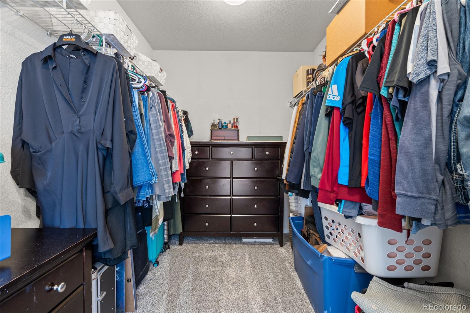 MLS Image #12 for 7400  russell circle,longmont, Colorado