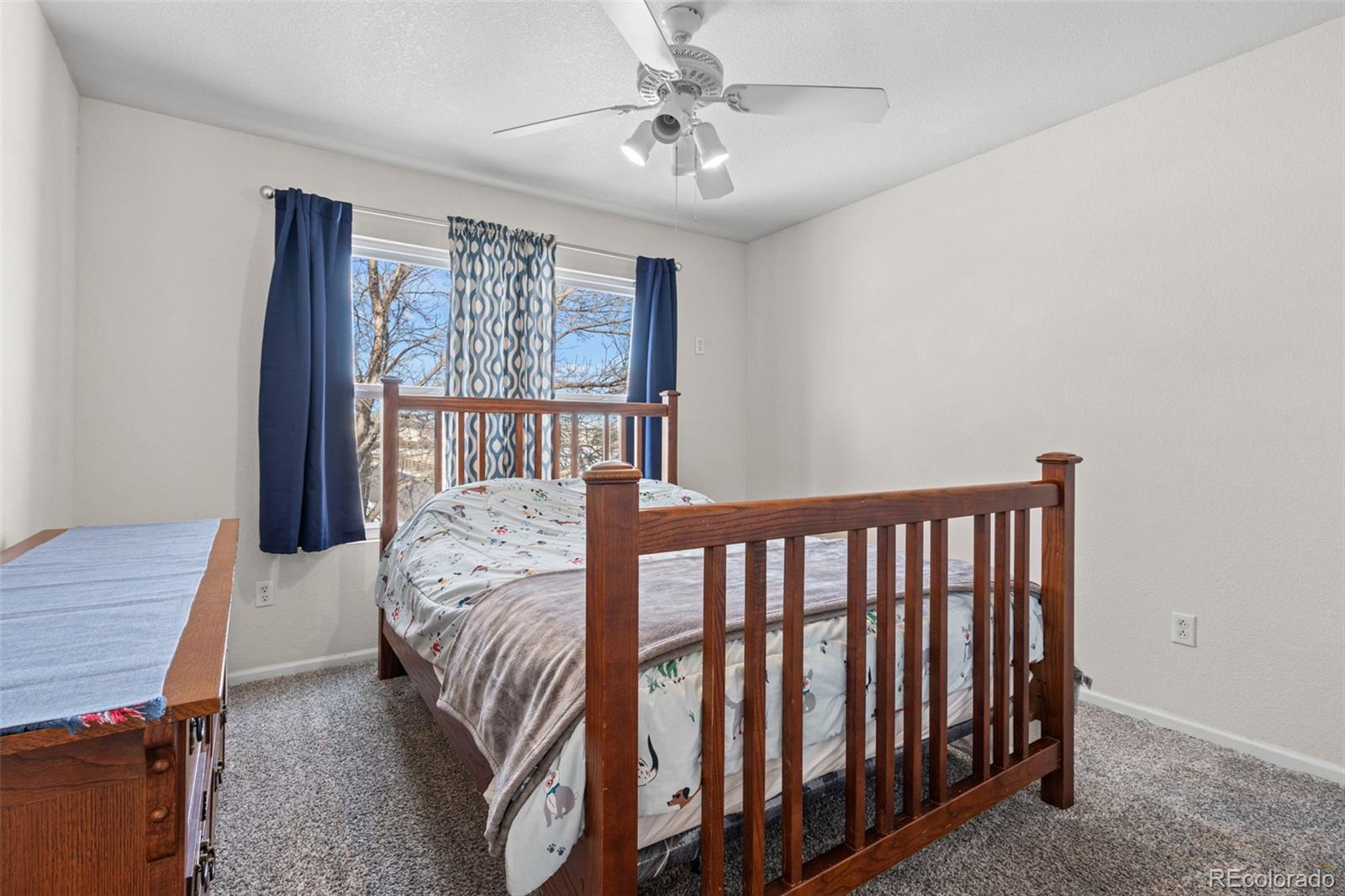 MLS Image #16 for 7400  russell circle,longmont, Colorado