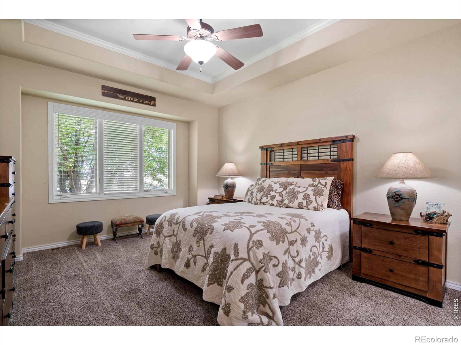 MLS Image #16 for 1591  landon court,windsor, Colorado