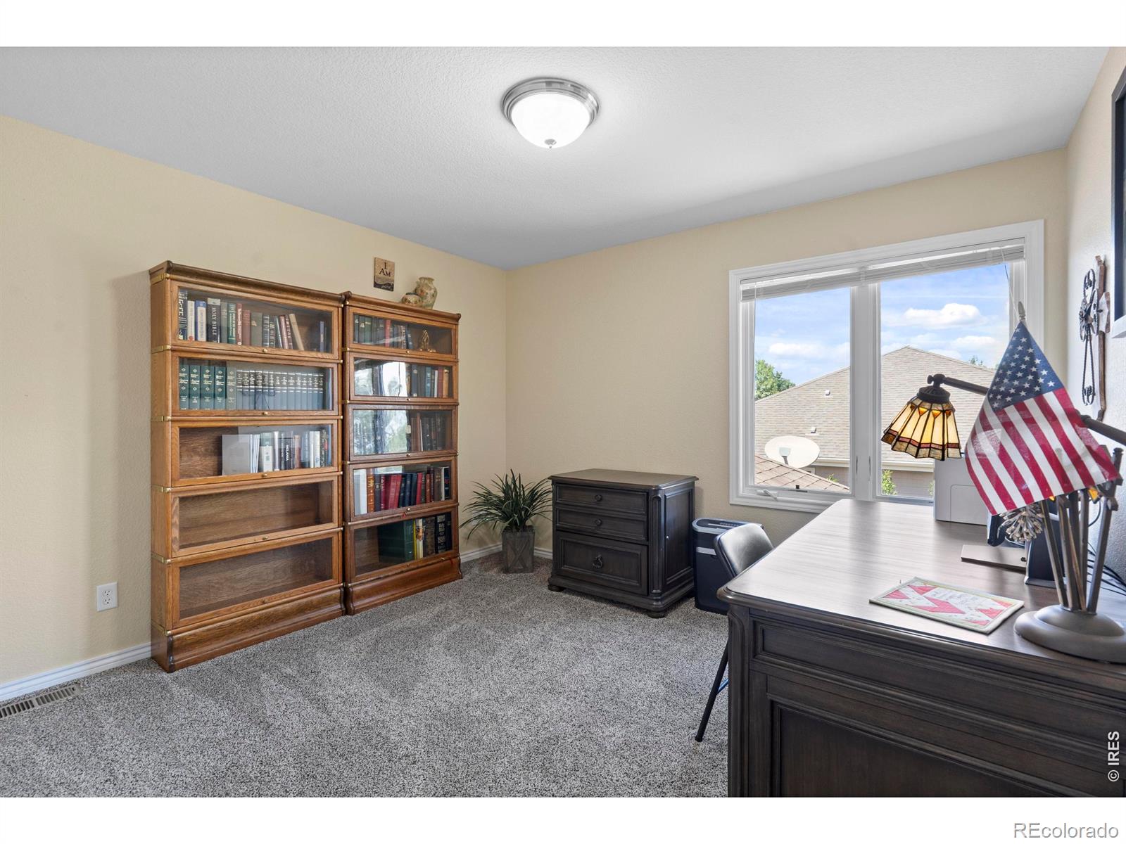 MLS Image #21 for 1591  landon court,windsor, Colorado