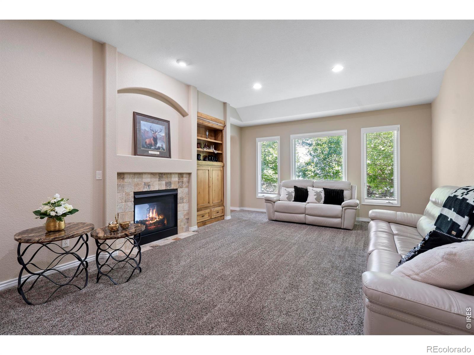 MLS Image #4 for 1591  landon court,windsor, Colorado