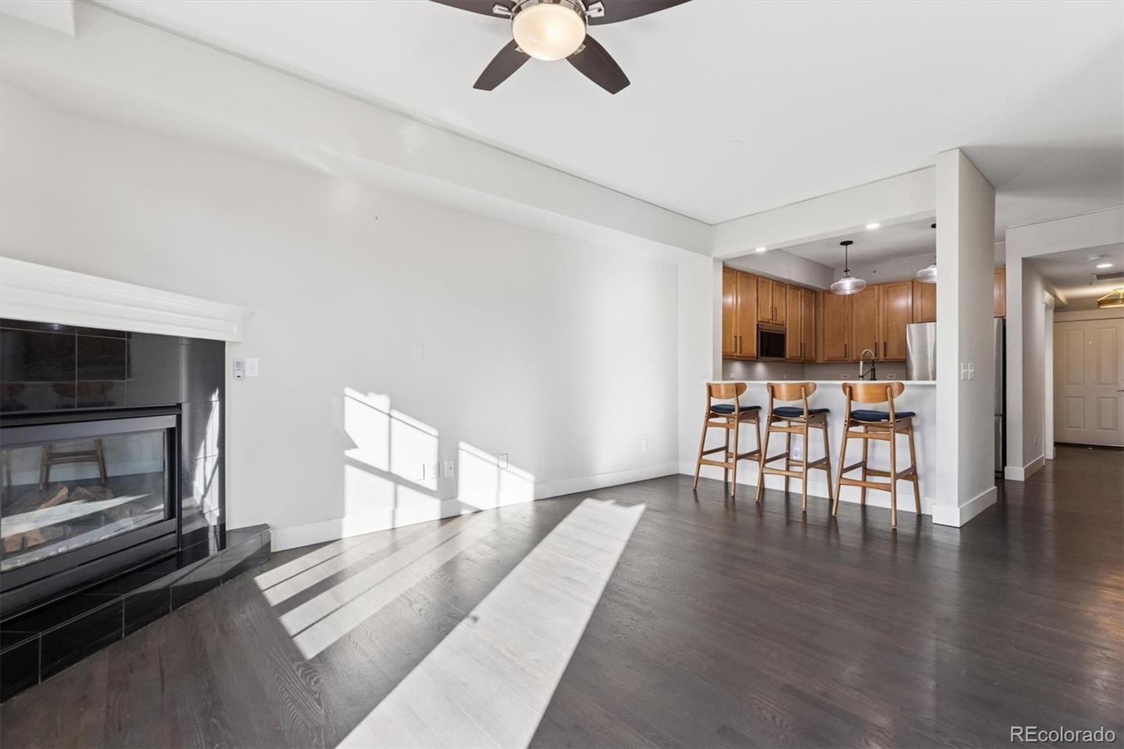 MLS Image #8 for 1699 n downing street 309,denver, Colorado