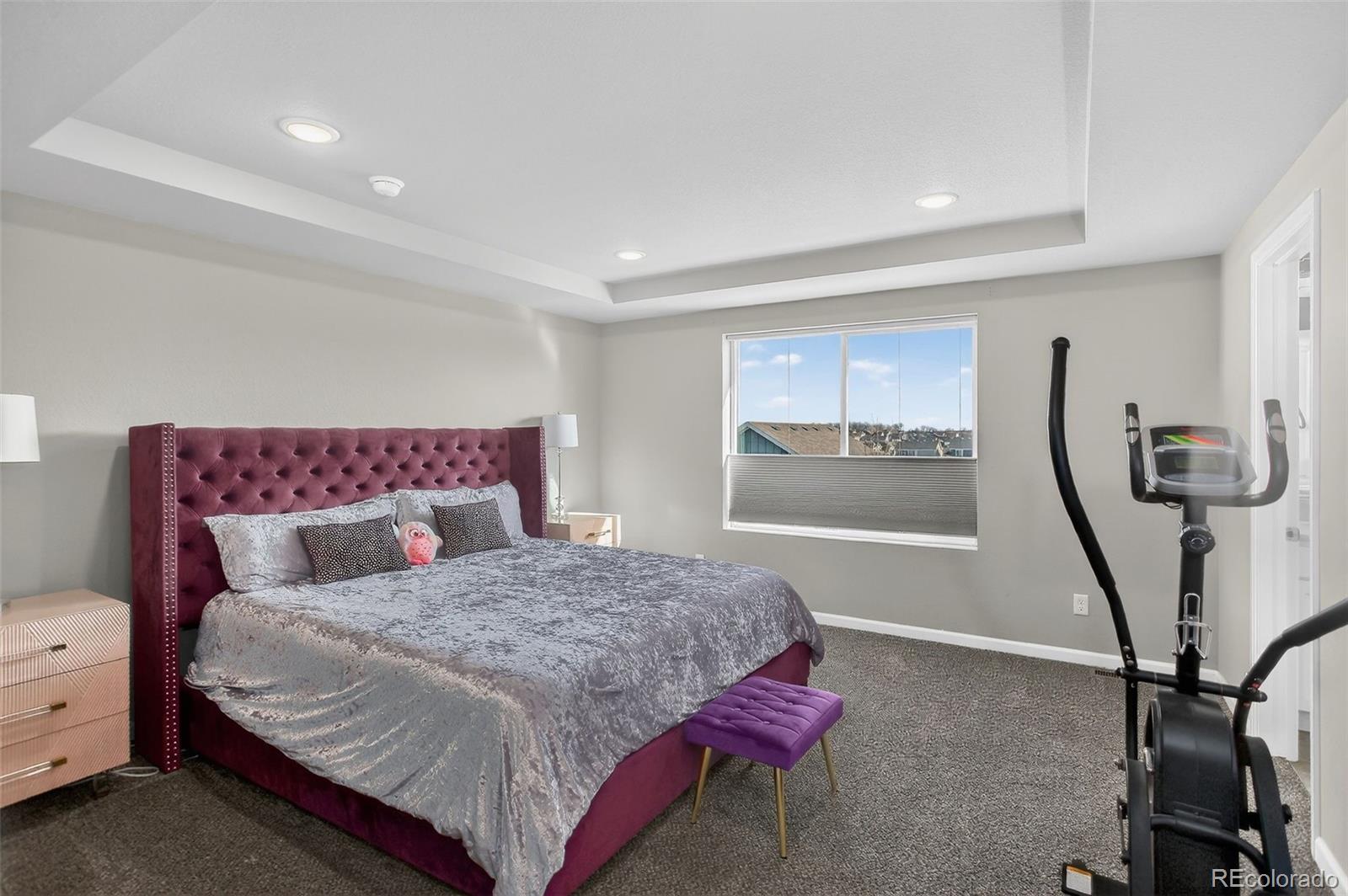MLS Image #25 for 16746  beaumont boulevard,mead, Colorado