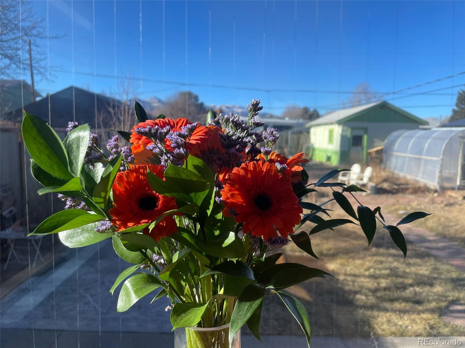 MLS Image #5 for 1328  i street,salida, Colorado