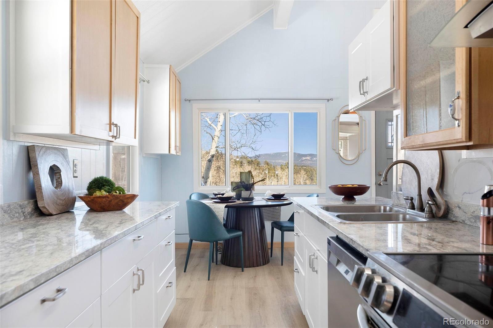 MLS Image #10 for 560 s pine drive,bailey, Colorado