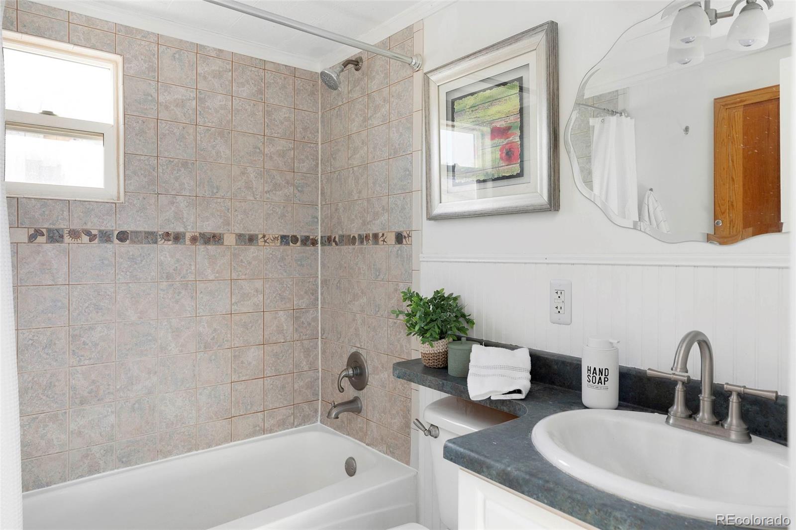 MLS Image #15 for 560 s pine drive,bailey, Colorado