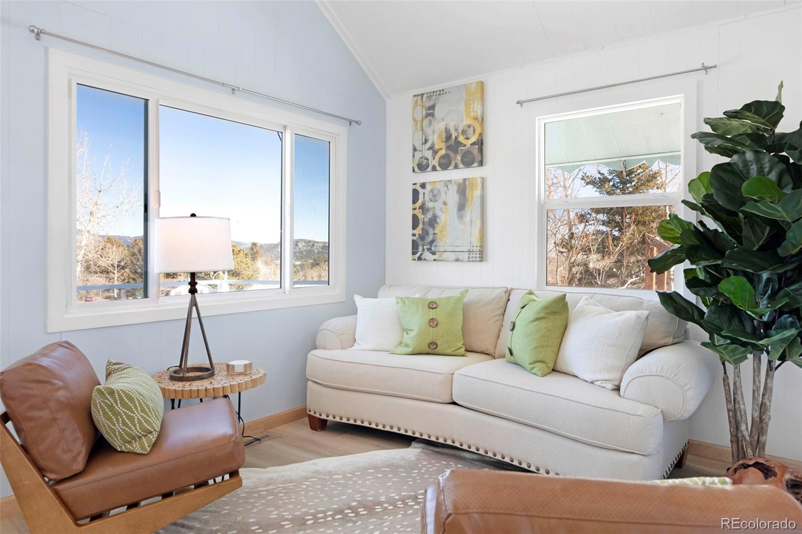 MLS Image #4 for 560 s pine drive,bailey, Colorado