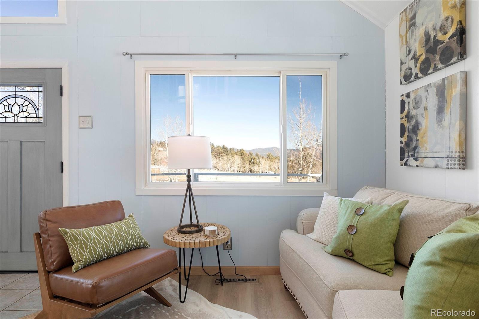 MLS Image #5 for 560 s pine drive,bailey, Colorado