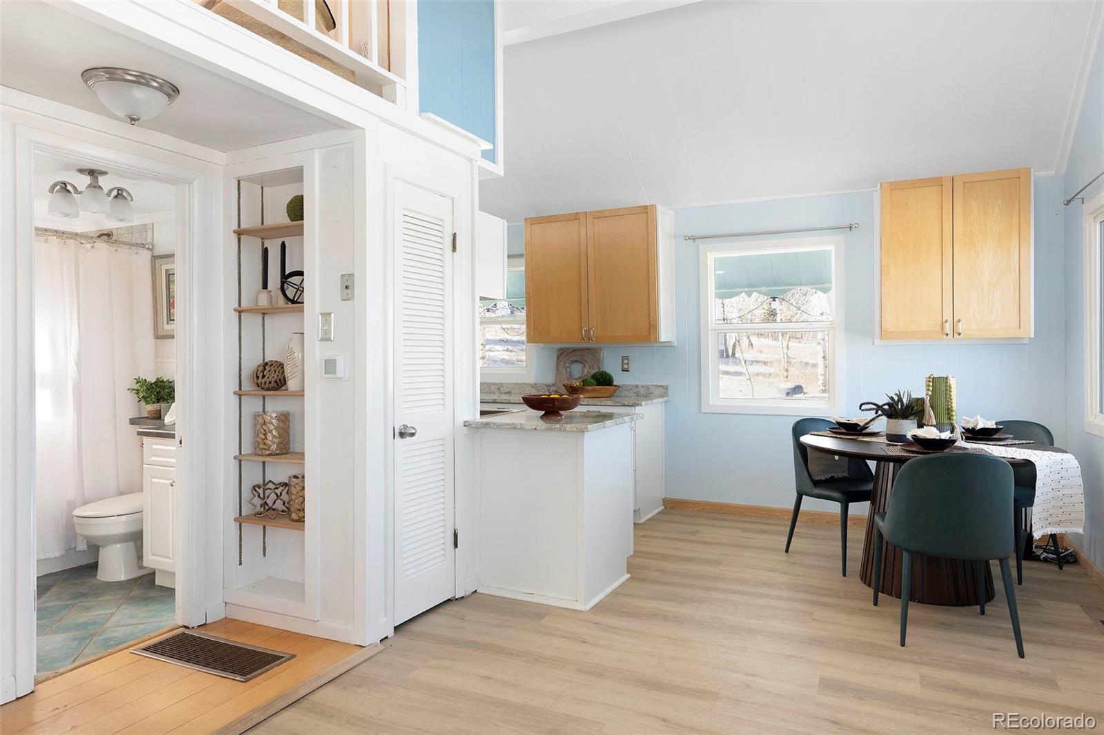 MLS Image #6 for 560 s pine drive,bailey, Colorado