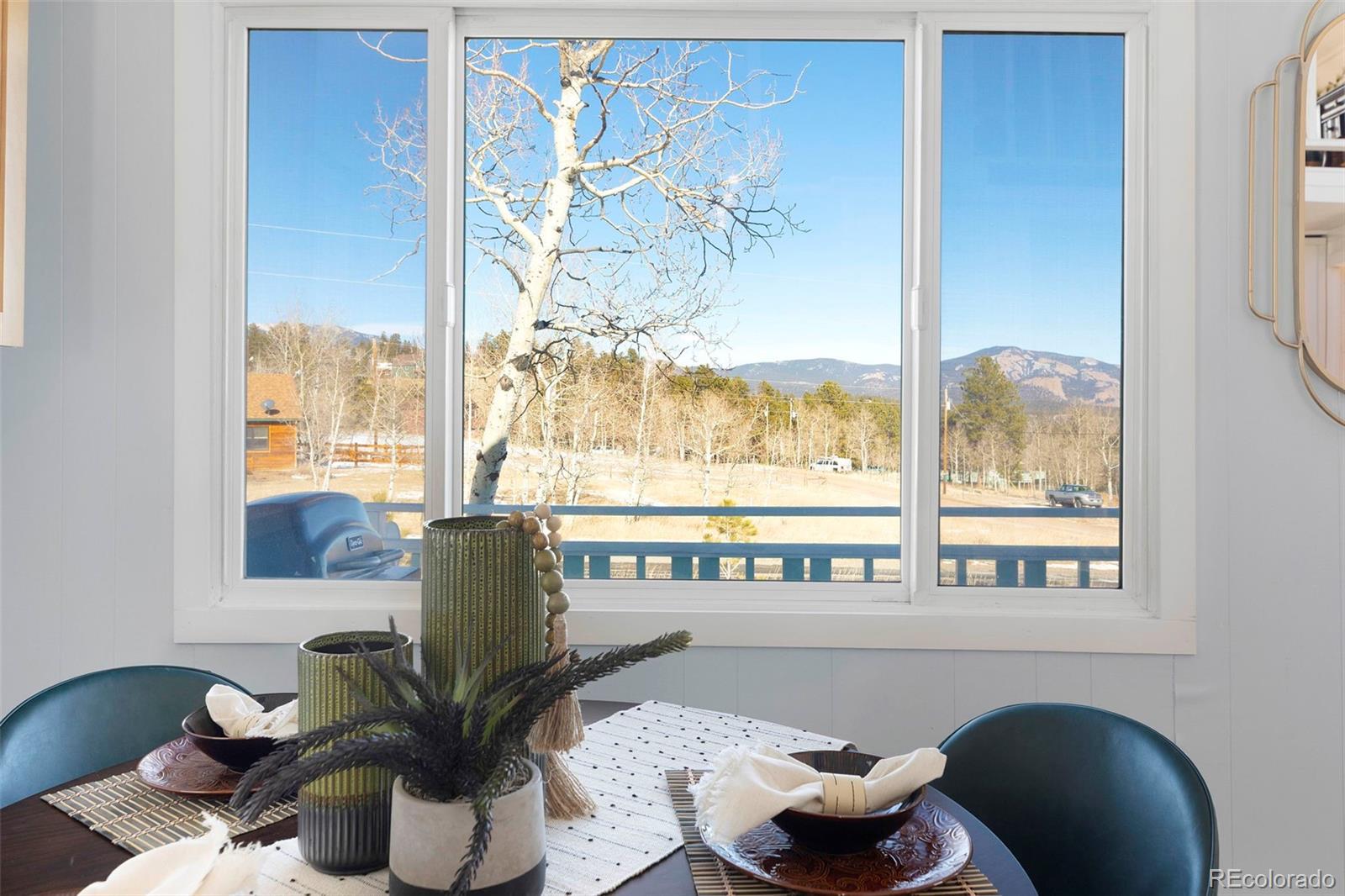 MLS Image #8 for 560 s pine drive,bailey, Colorado