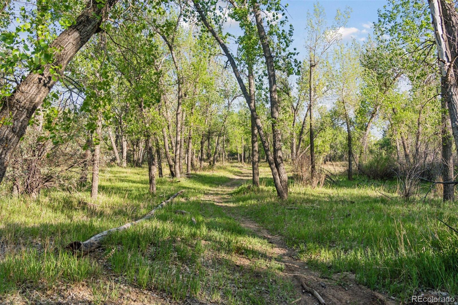 MLS Image #46 for 16990  old pueblo road,fountain, Colorado