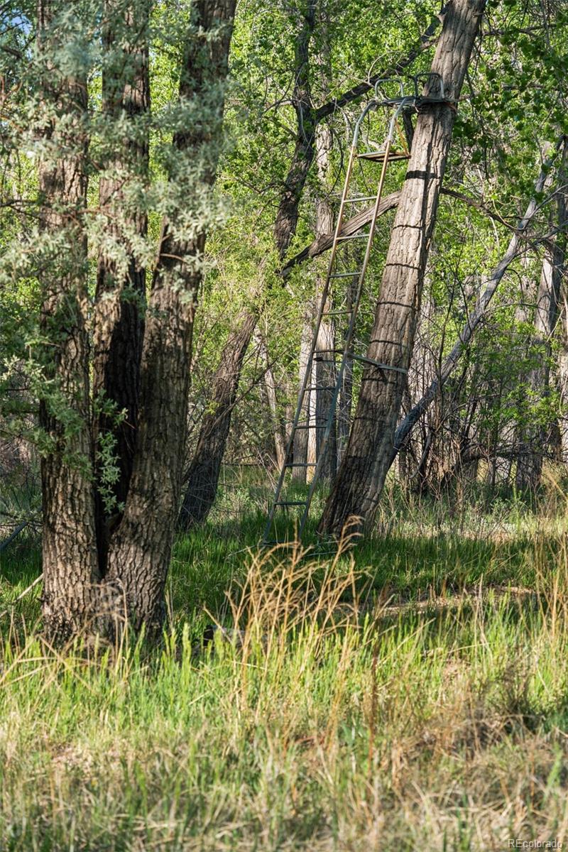 MLS Image #47 for 16990  old pueblo road,fountain, Colorado