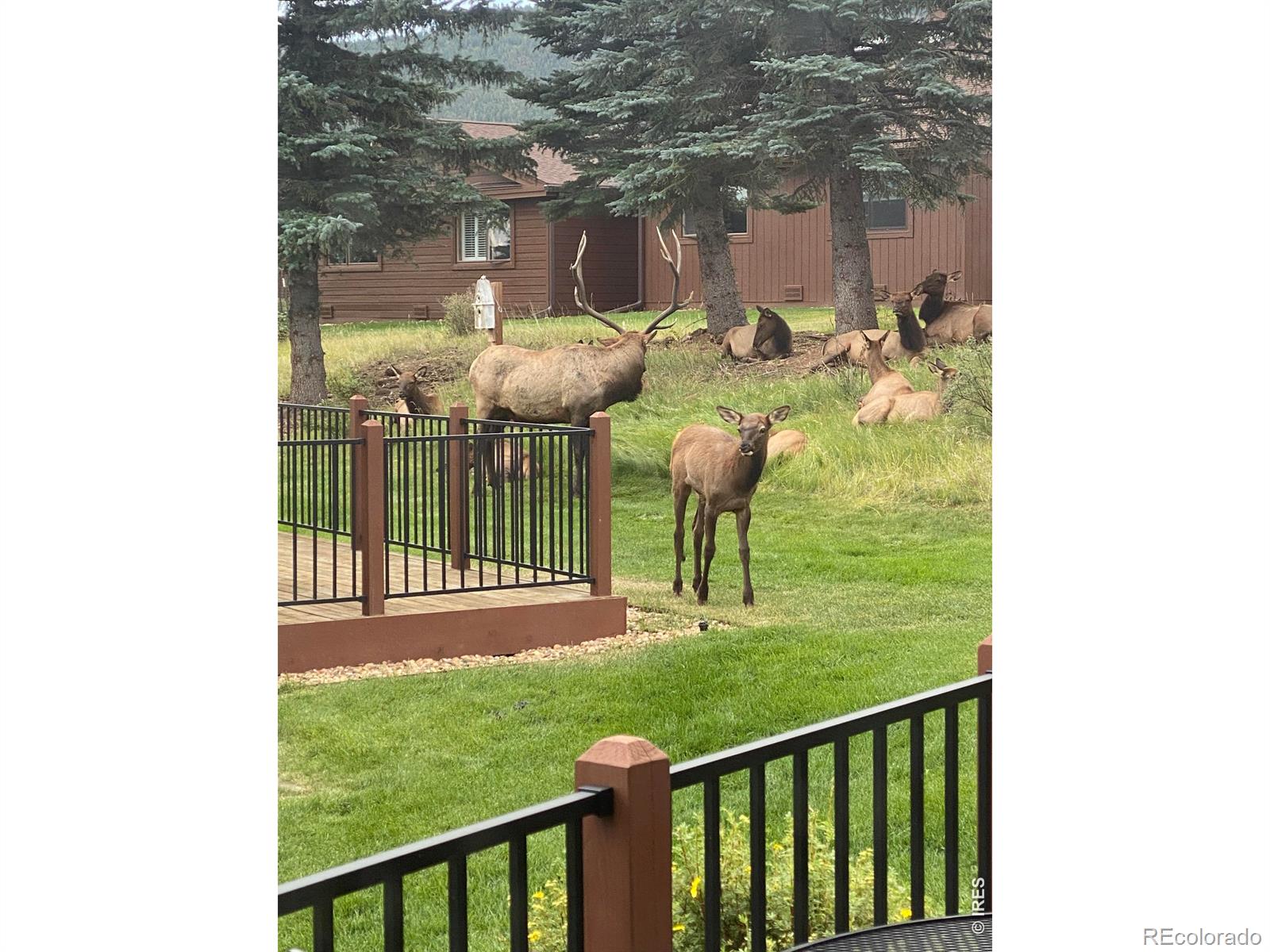MLS Image #3 for 1422  matthew circle,estes park, Colorado
