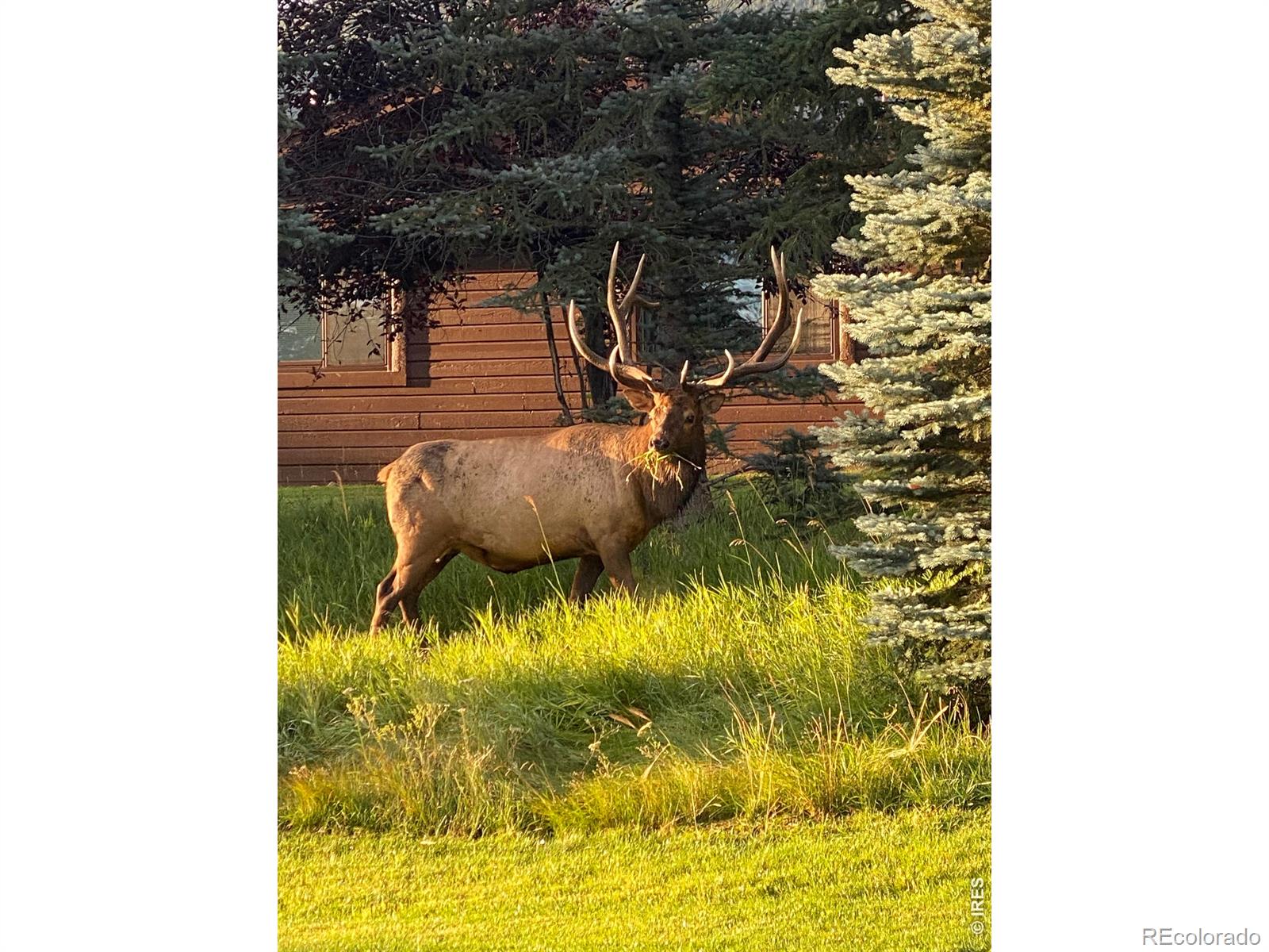 MLS Image #41 for 1422  matthew circle,estes park, Colorado