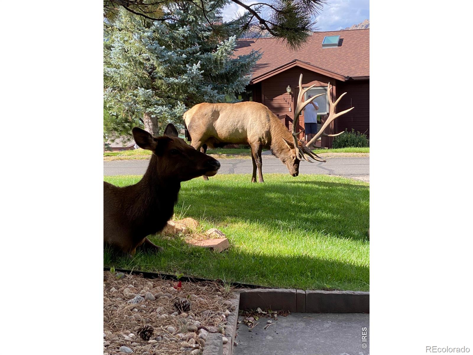 MLS Image #42 for 1422  matthew circle,estes park, Colorado