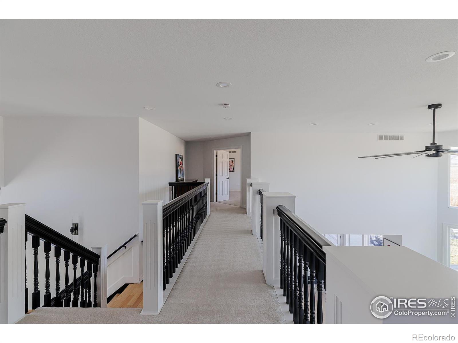 MLS Image #30 for 7401  deerfield road,longmont, Colorado