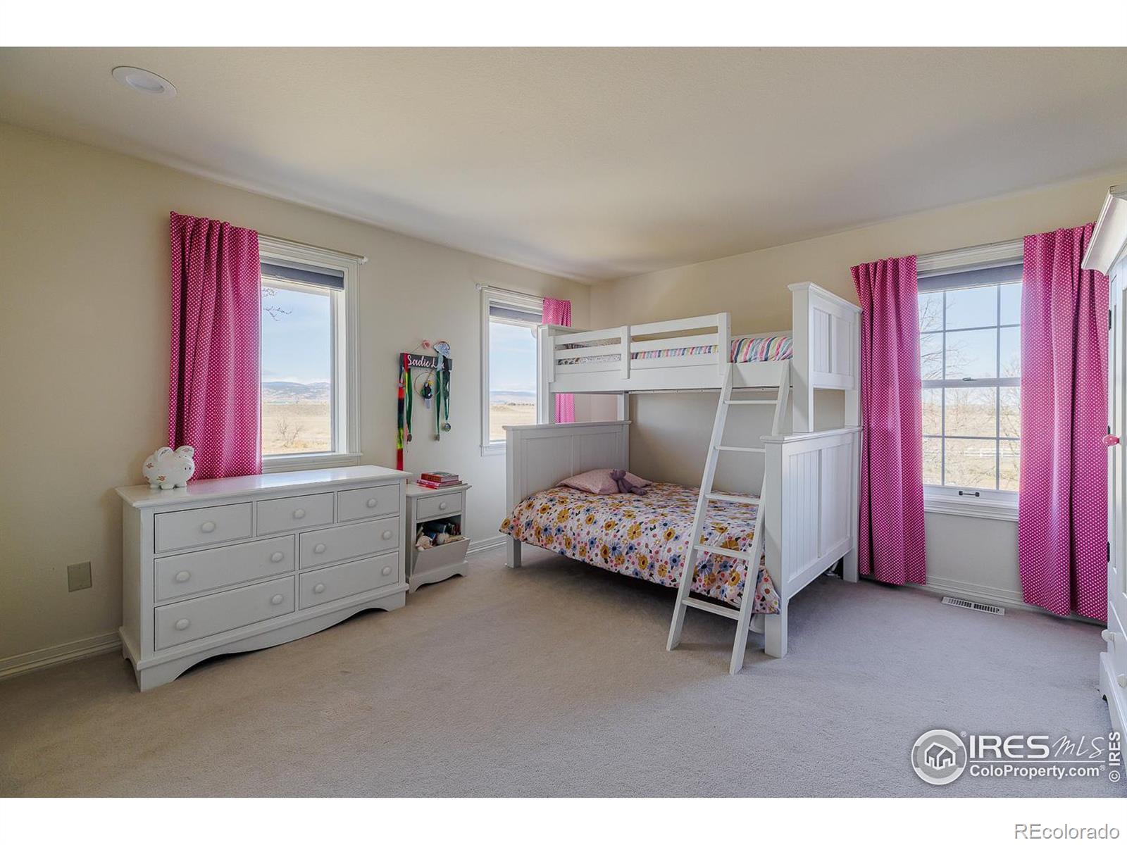 MLS Image #31 for 7401  deerfield road,longmont, Colorado
