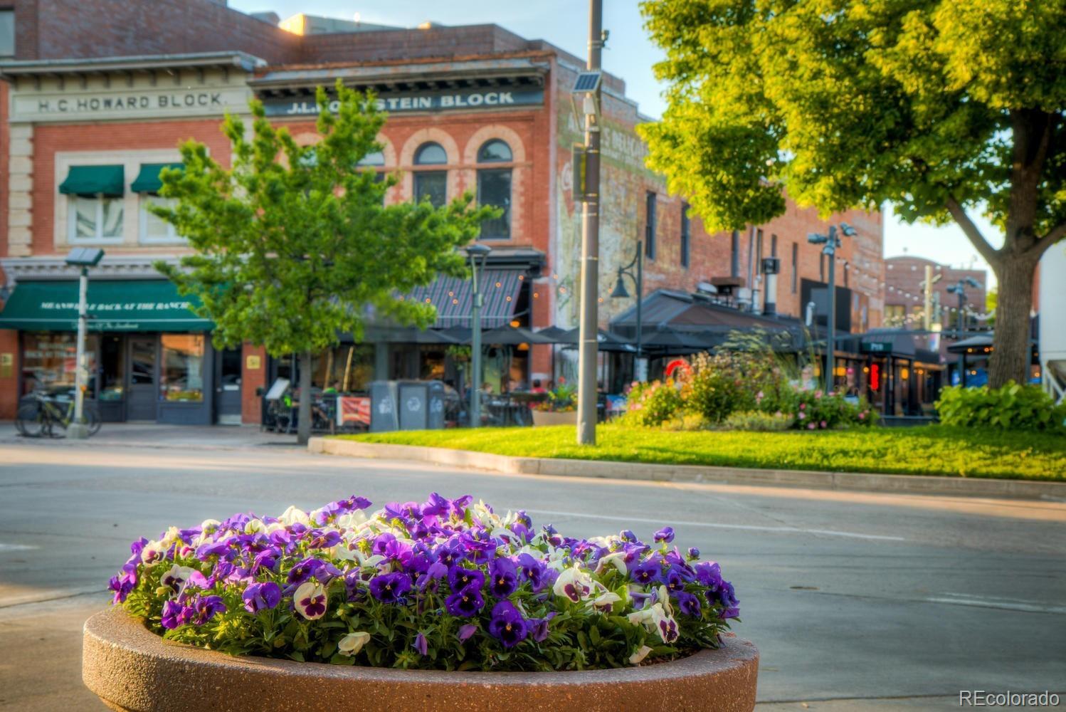 MLS Image #17 for 220 e oak street,fort collins, Colorado