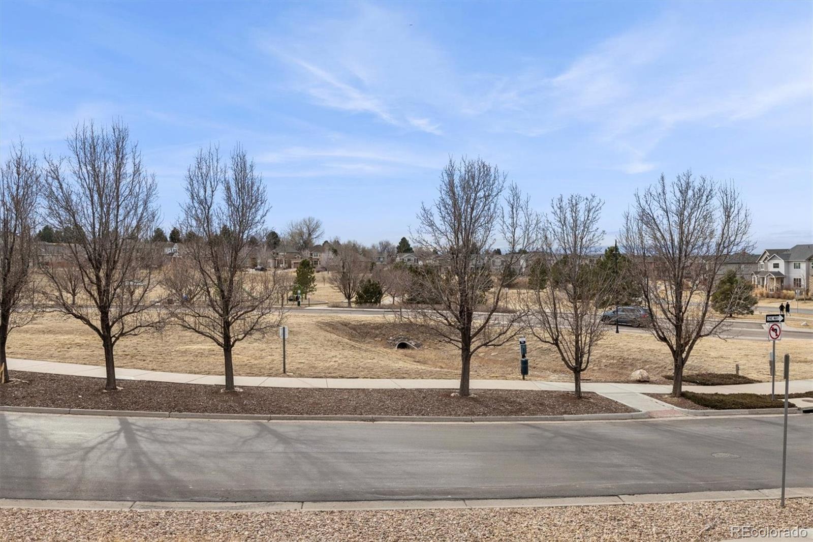 MLS Image #18 for 11733  crestop way,parker, Colorado