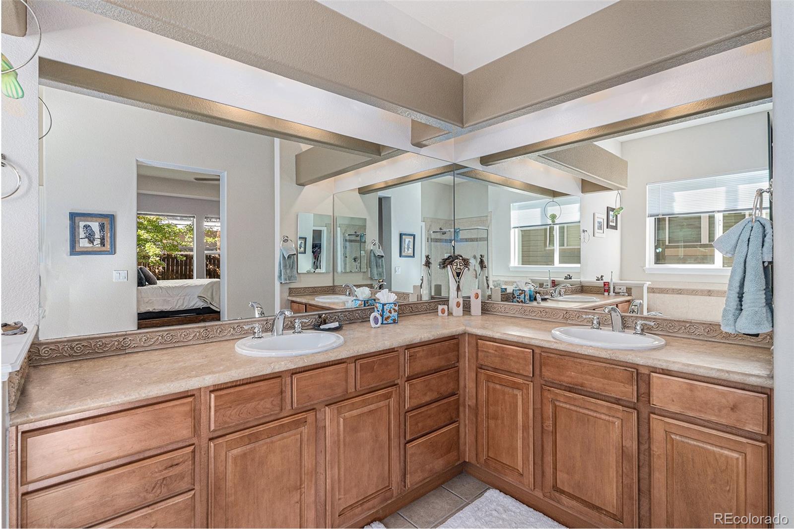 MLS Image #14 for 853  dales pony drive,castle rock, Colorado