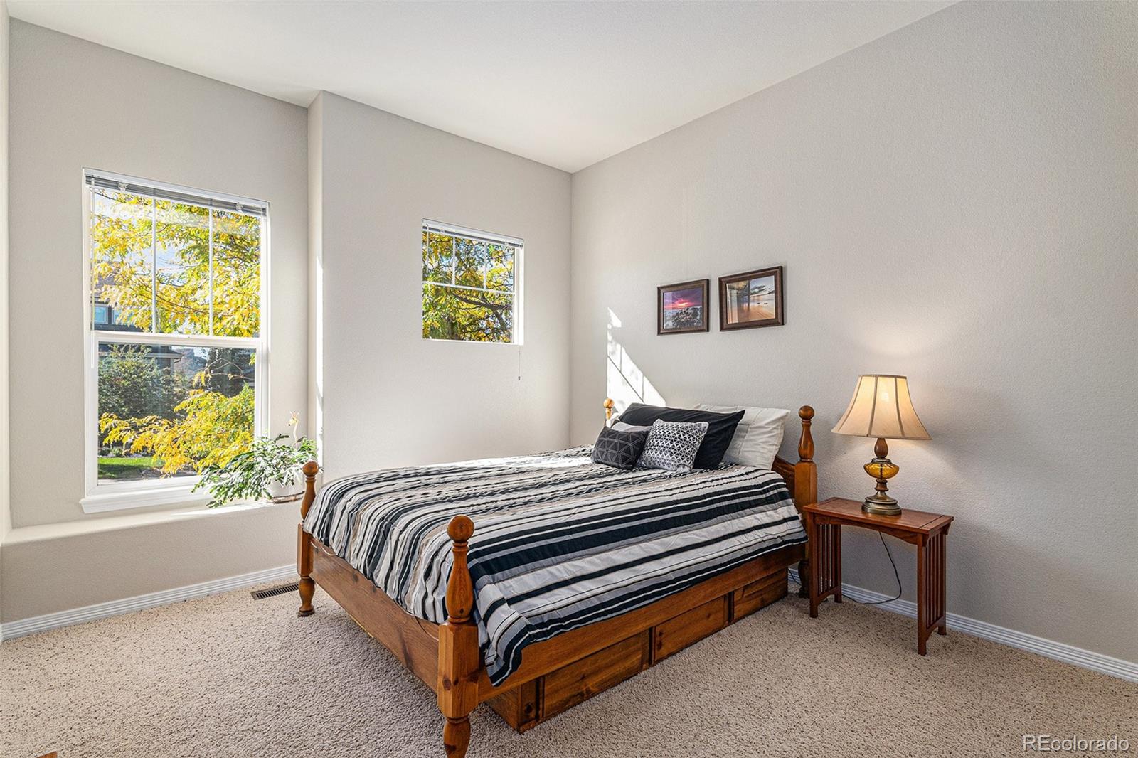 MLS Image #17 for 853  dales pony drive,castle rock, Colorado