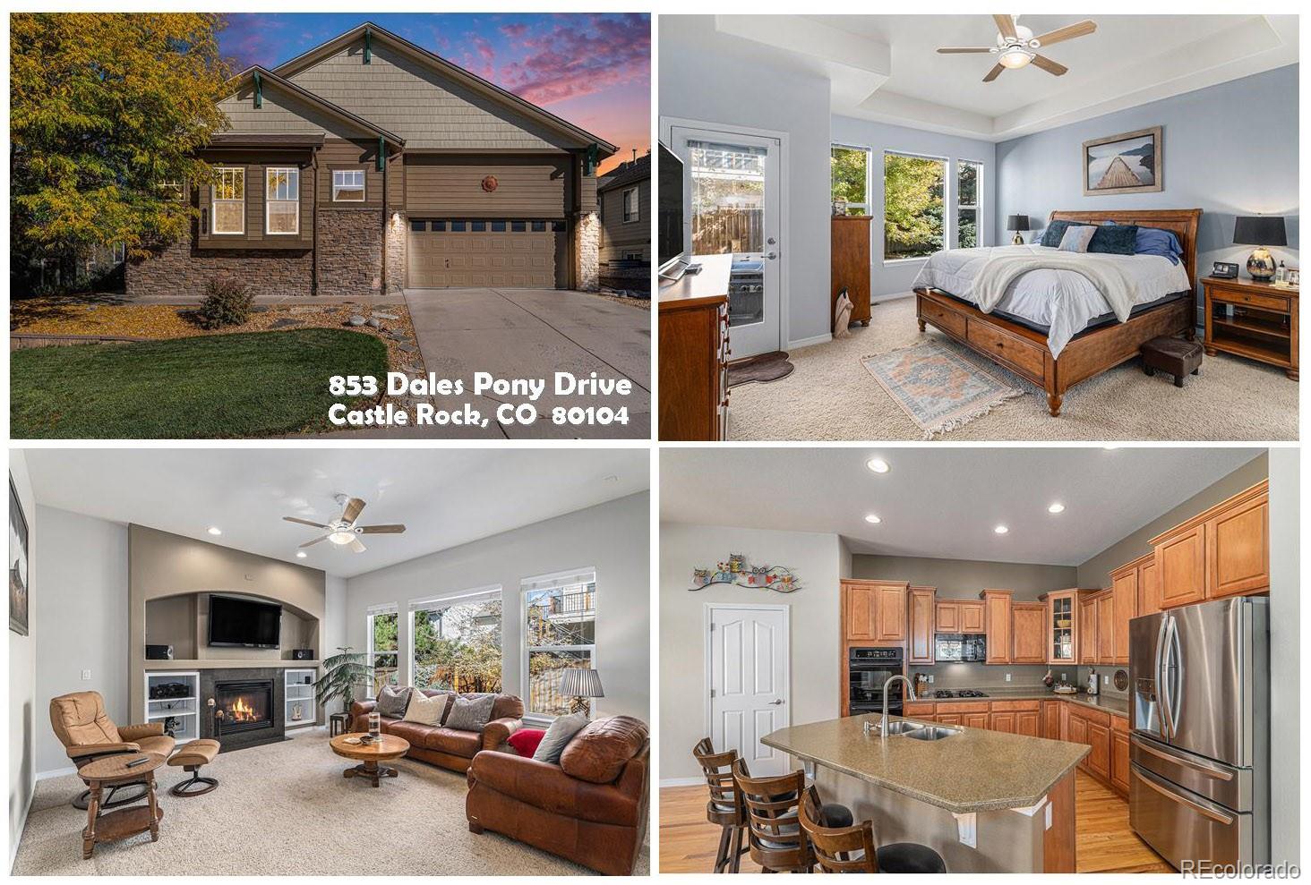 MLS Image #25 for 853  dales pony drive,castle rock, Colorado