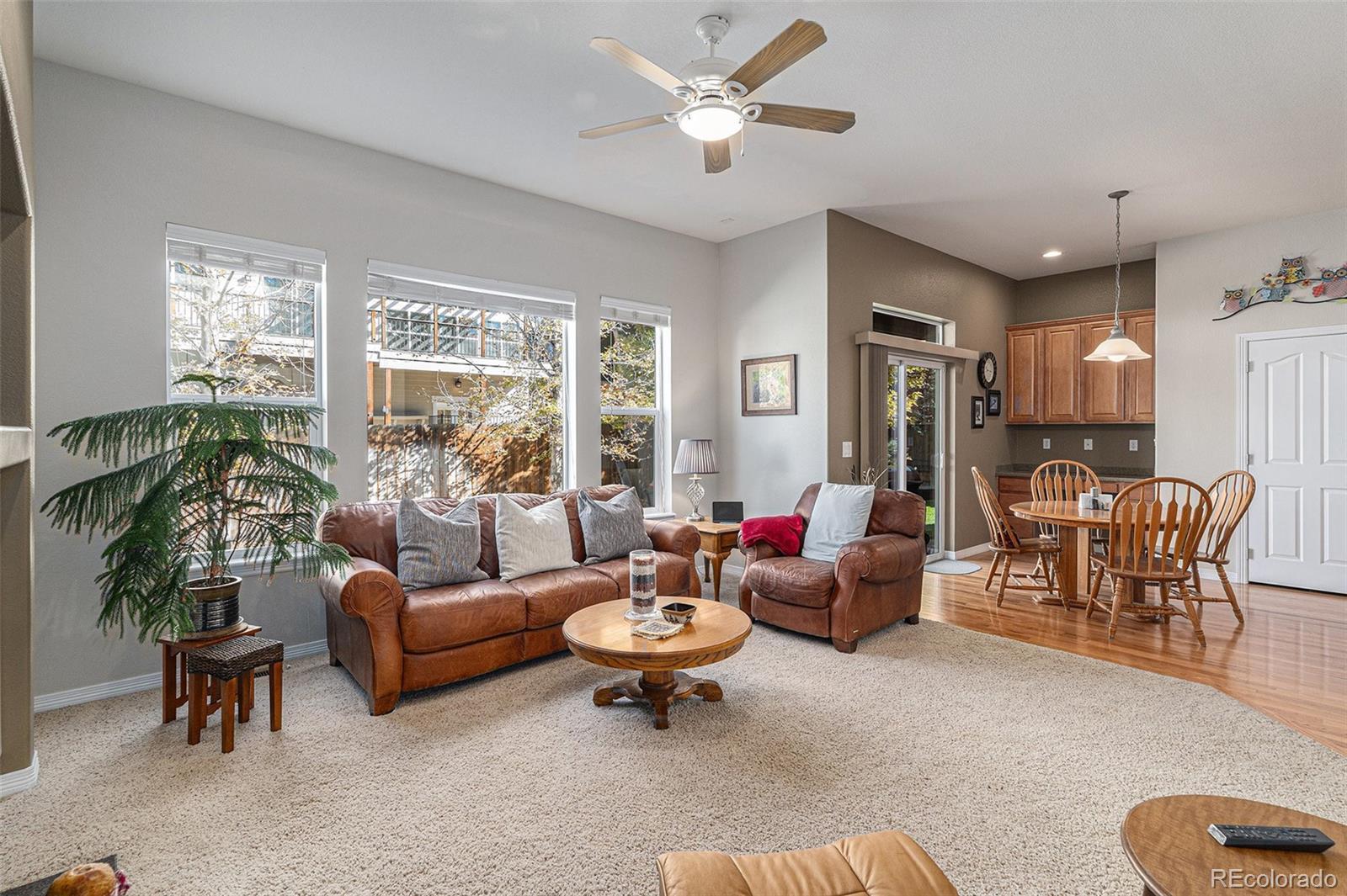 MLS Image #4 for 853  dales pony drive,castle rock, Colorado