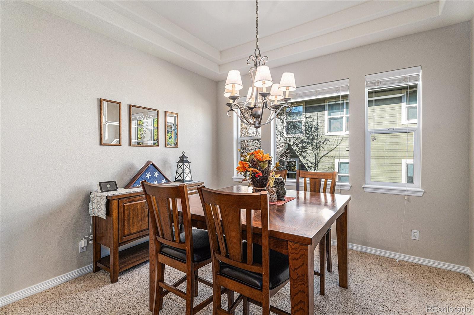 MLS Image #6 for 853  dales pony drive,castle rock, Colorado