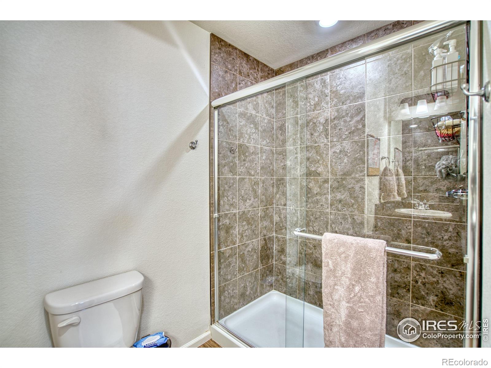 MLS Image #14 for 3518  valleywood court,johnstown, Colorado