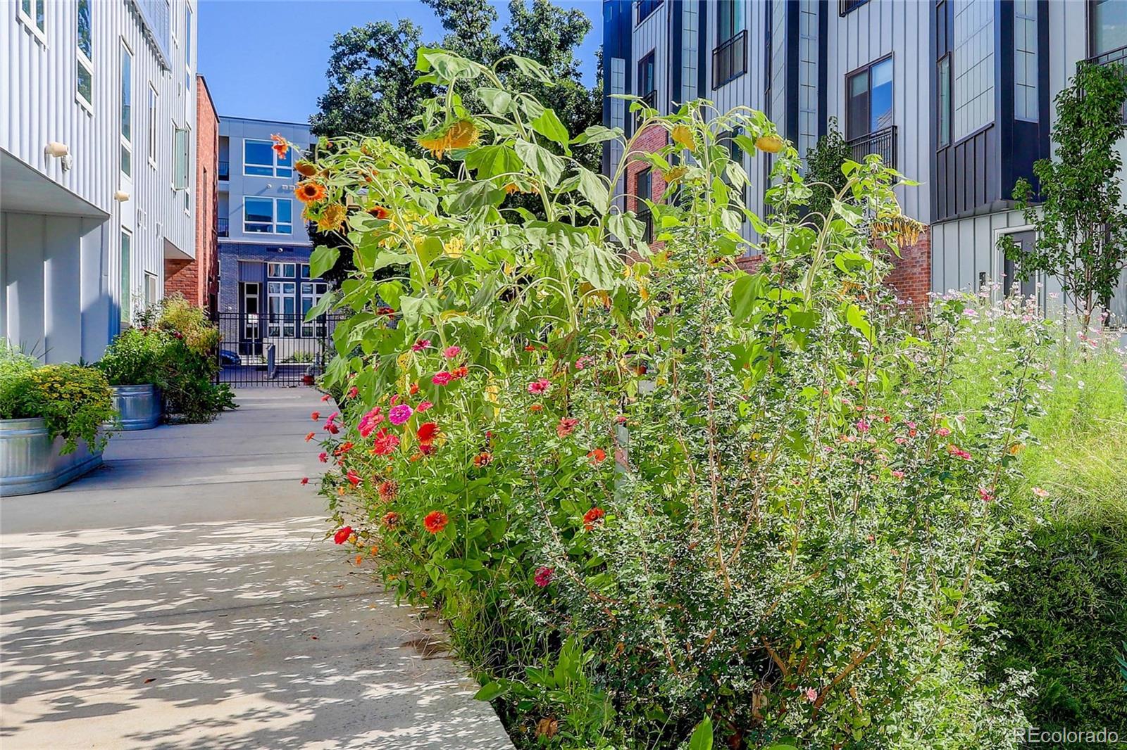 MLS Image #36 for 2525  arapahoe street 206,denver, Colorado