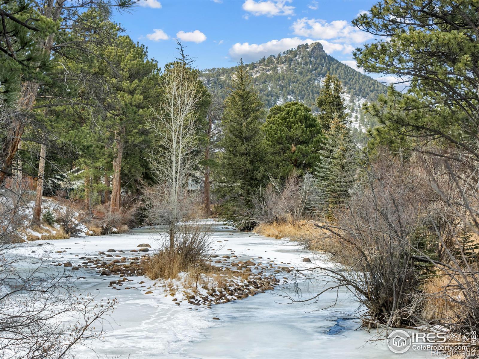 MLS Image #14 for 1475  lower broadview road,estes park, Colorado