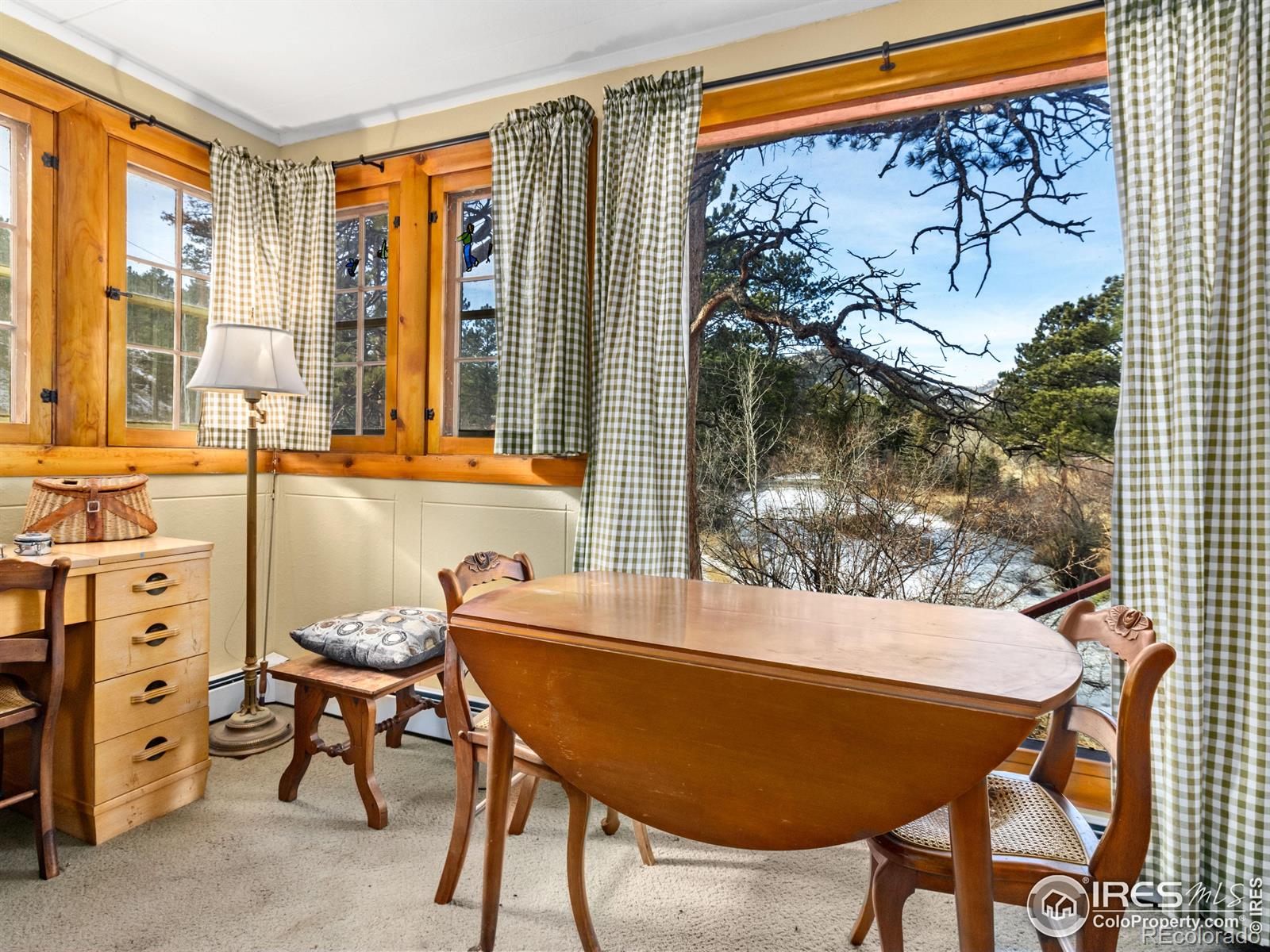 MLS Image #3 for 1475  lower broadview road,estes park, Colorado