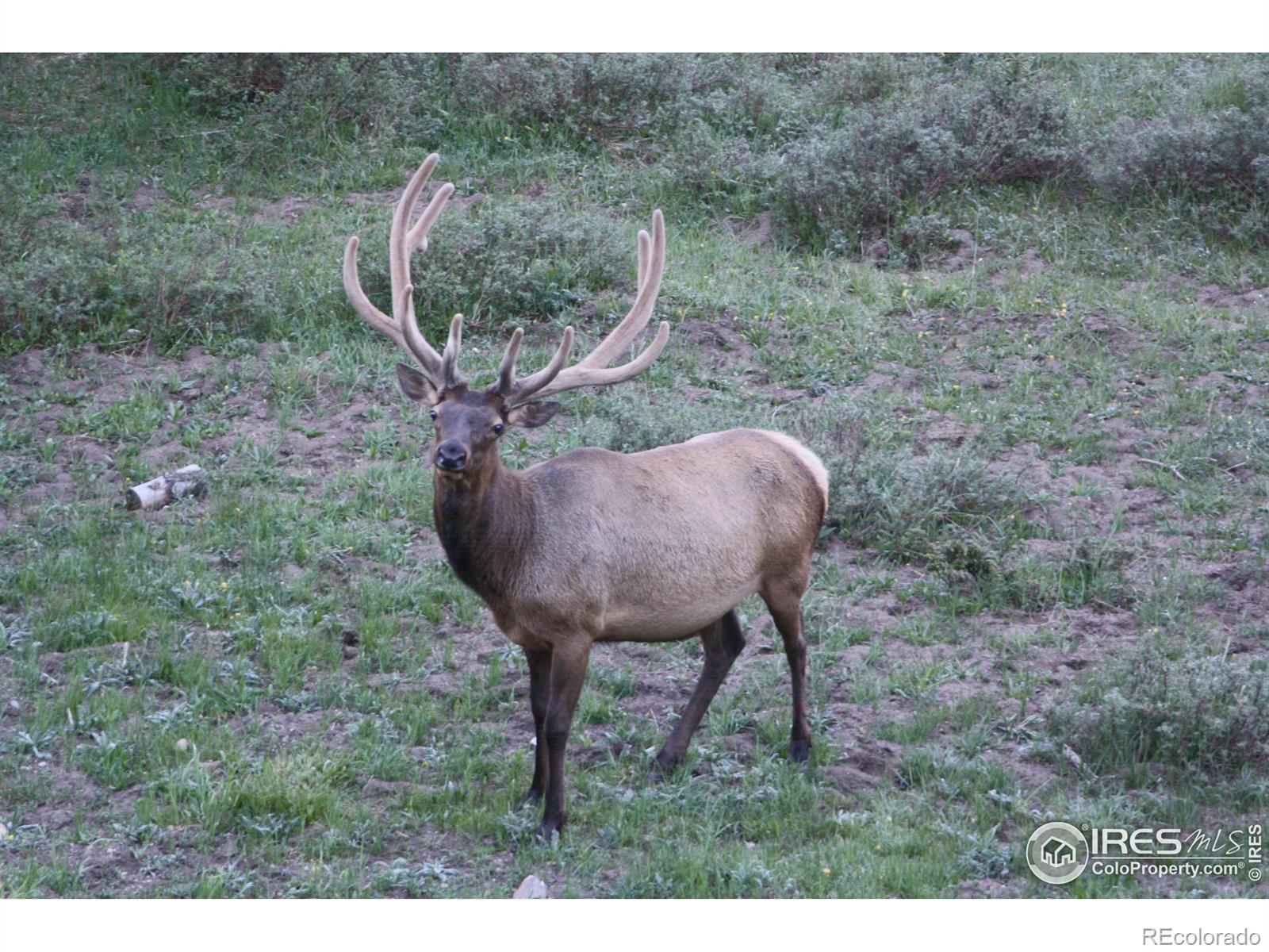 MLS Image #30 for 1475  lower broadview road,estes park, Colorado