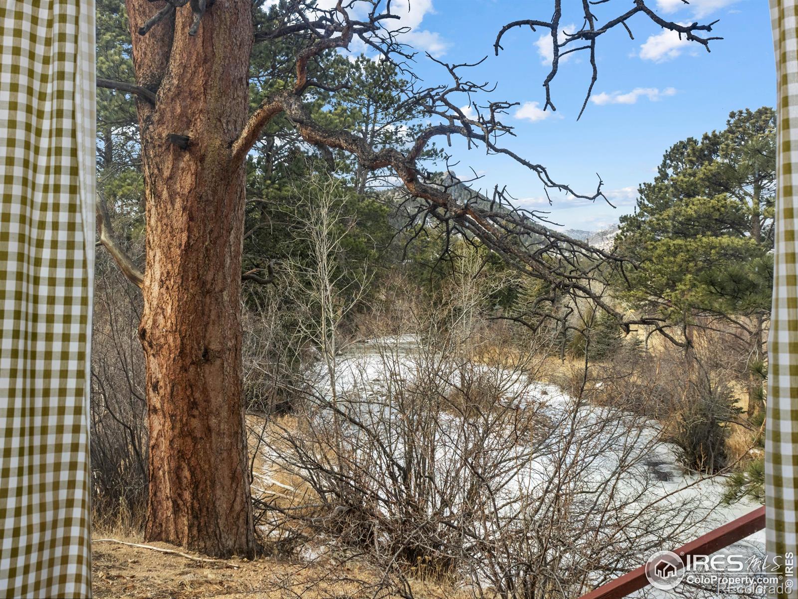 MLS Image #4 for 1475  lower broadview road,estes park, Colorado