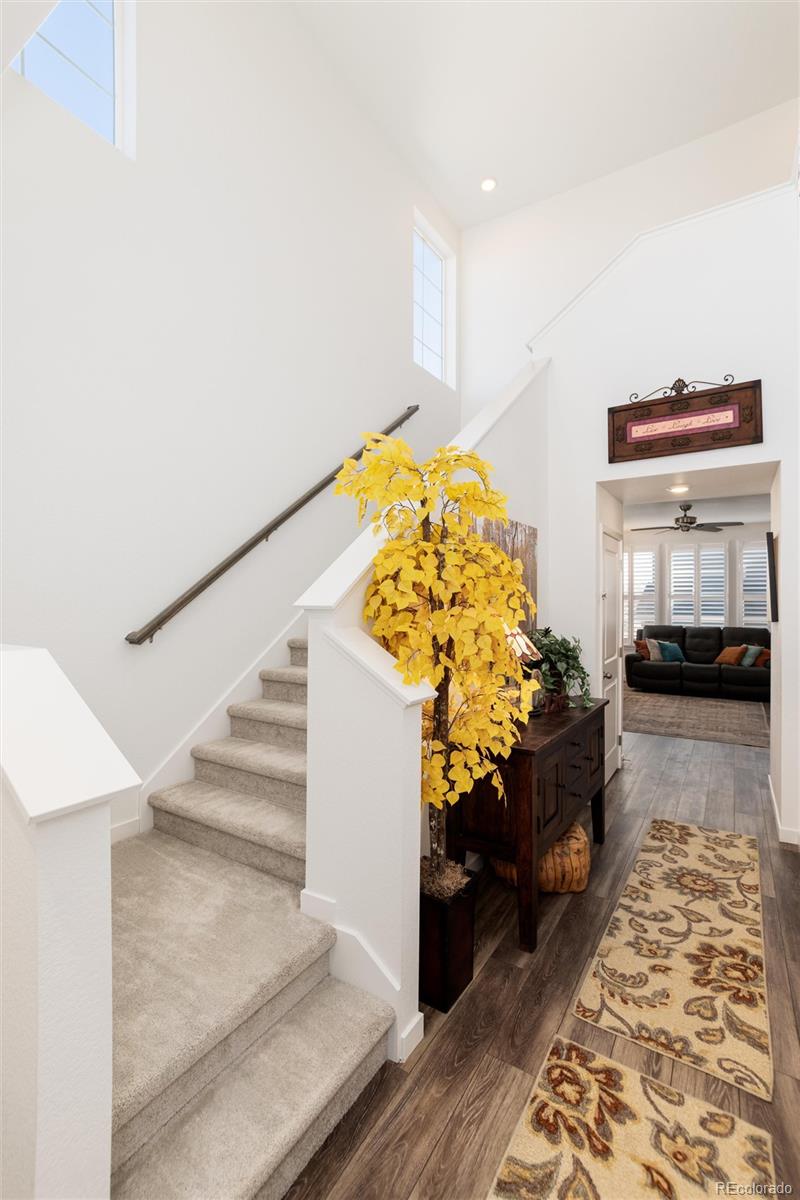 MLS Image #5 for 8962  larose court,parker, Colorado