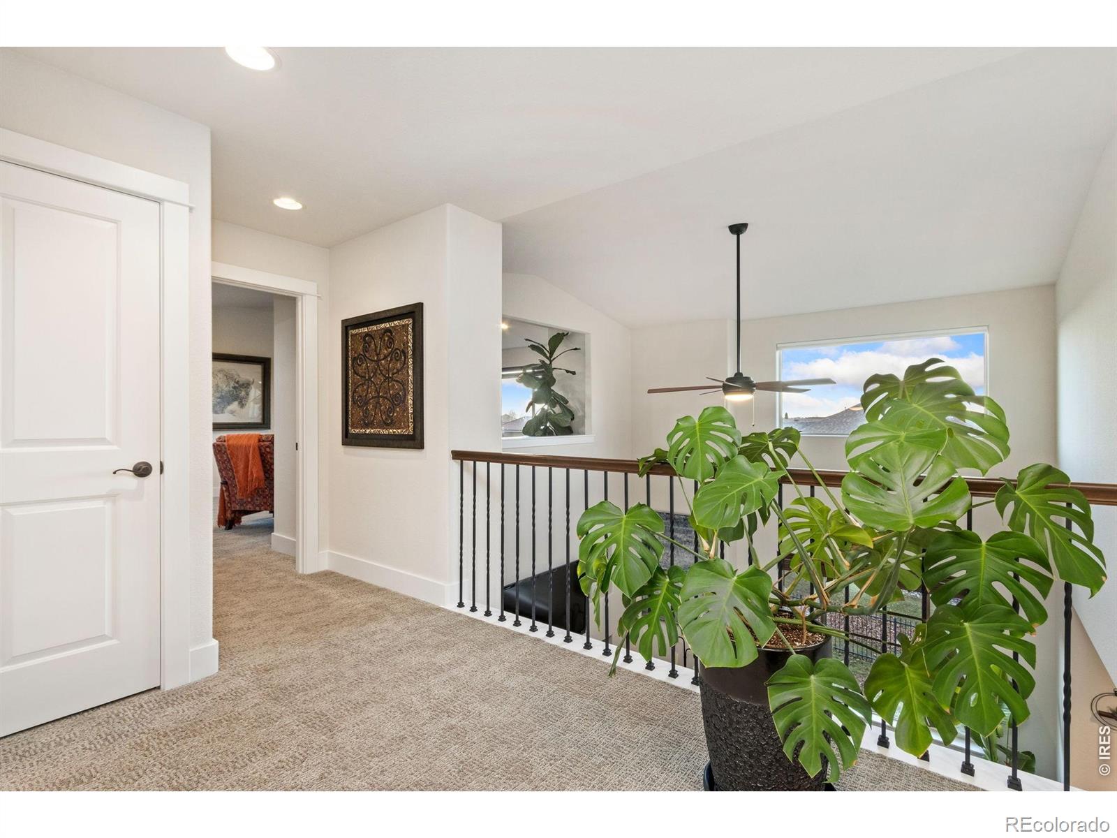 MLS Image #25 for 6682  crooked stick drive,windsor, Colorado
