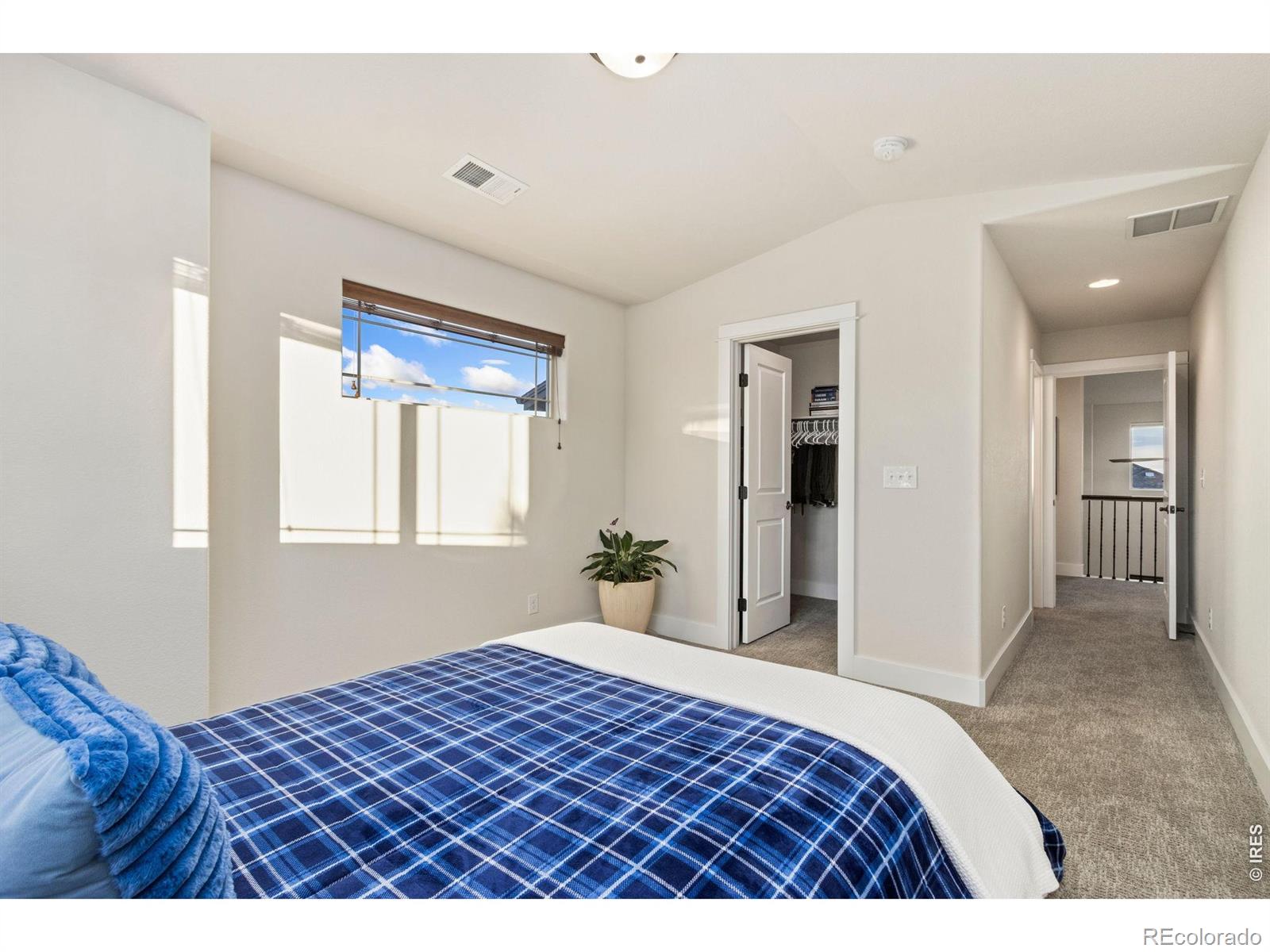 MLS Image #29 for 6682  crooked stick drive,windsor, Colorado