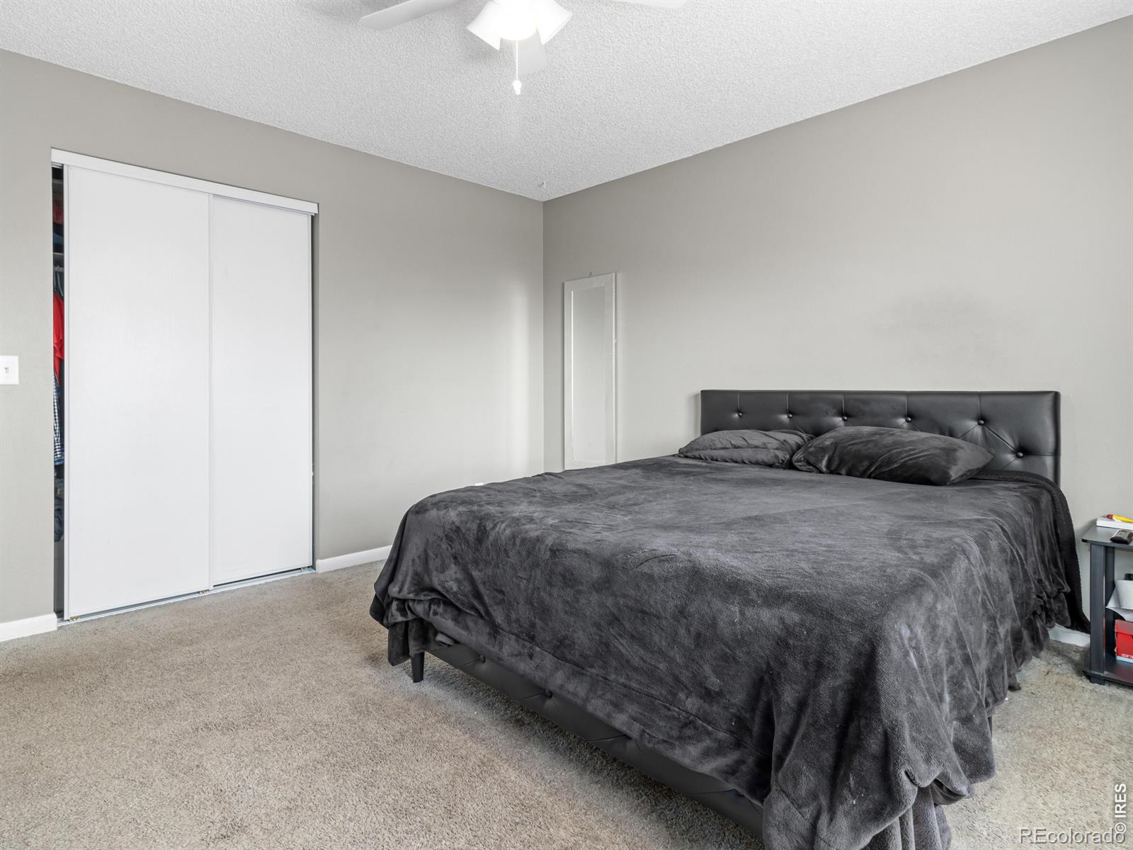 MLS Image #3 for 950  big thompson avenue,estes park, Colorado