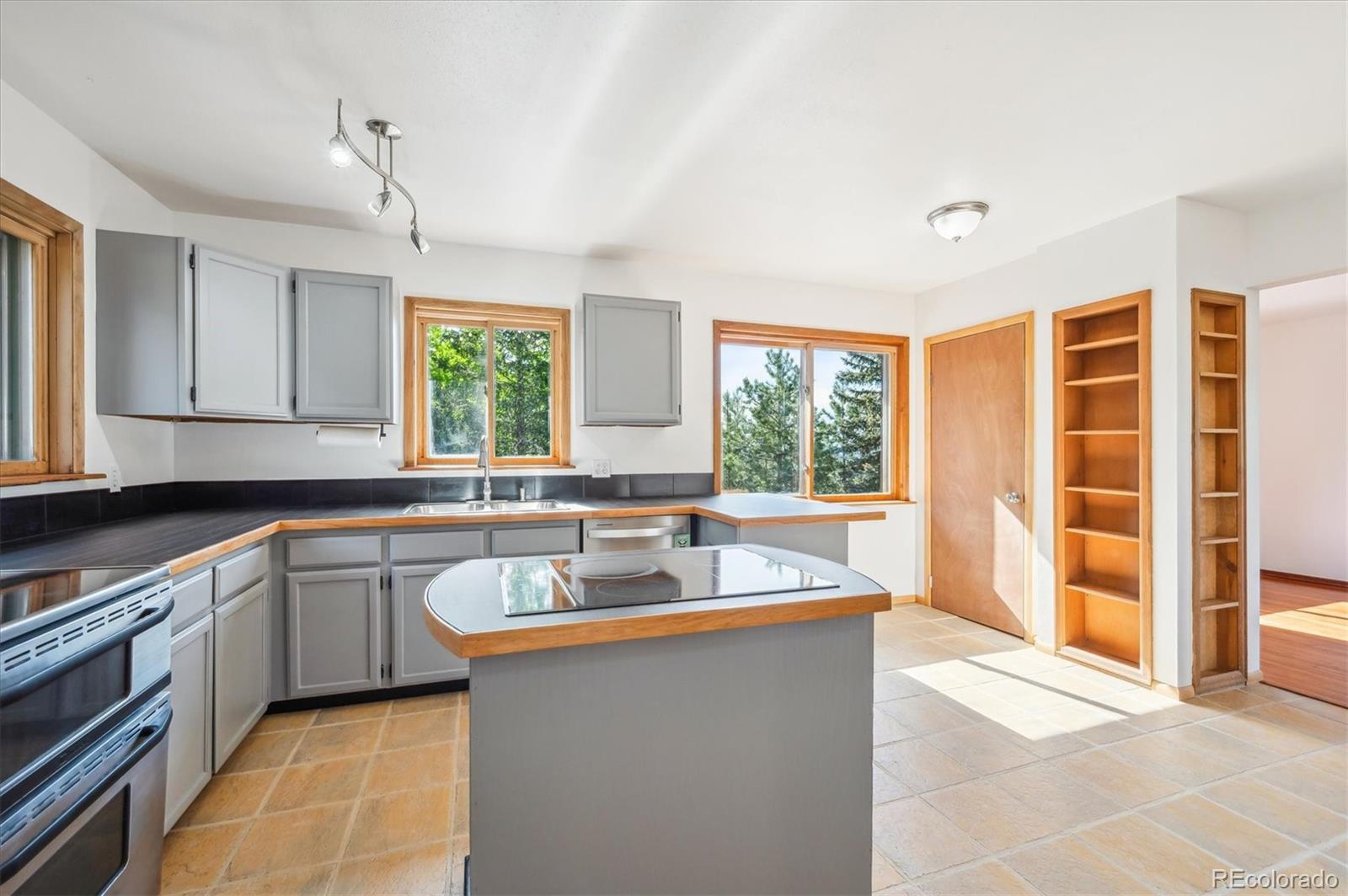 MLS Image #2 for 429  overlook drive,bailey, Colorado