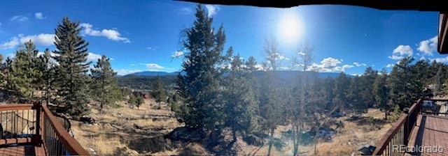 MLS Image #23 for 429  overlook drive,bailey, Colorado