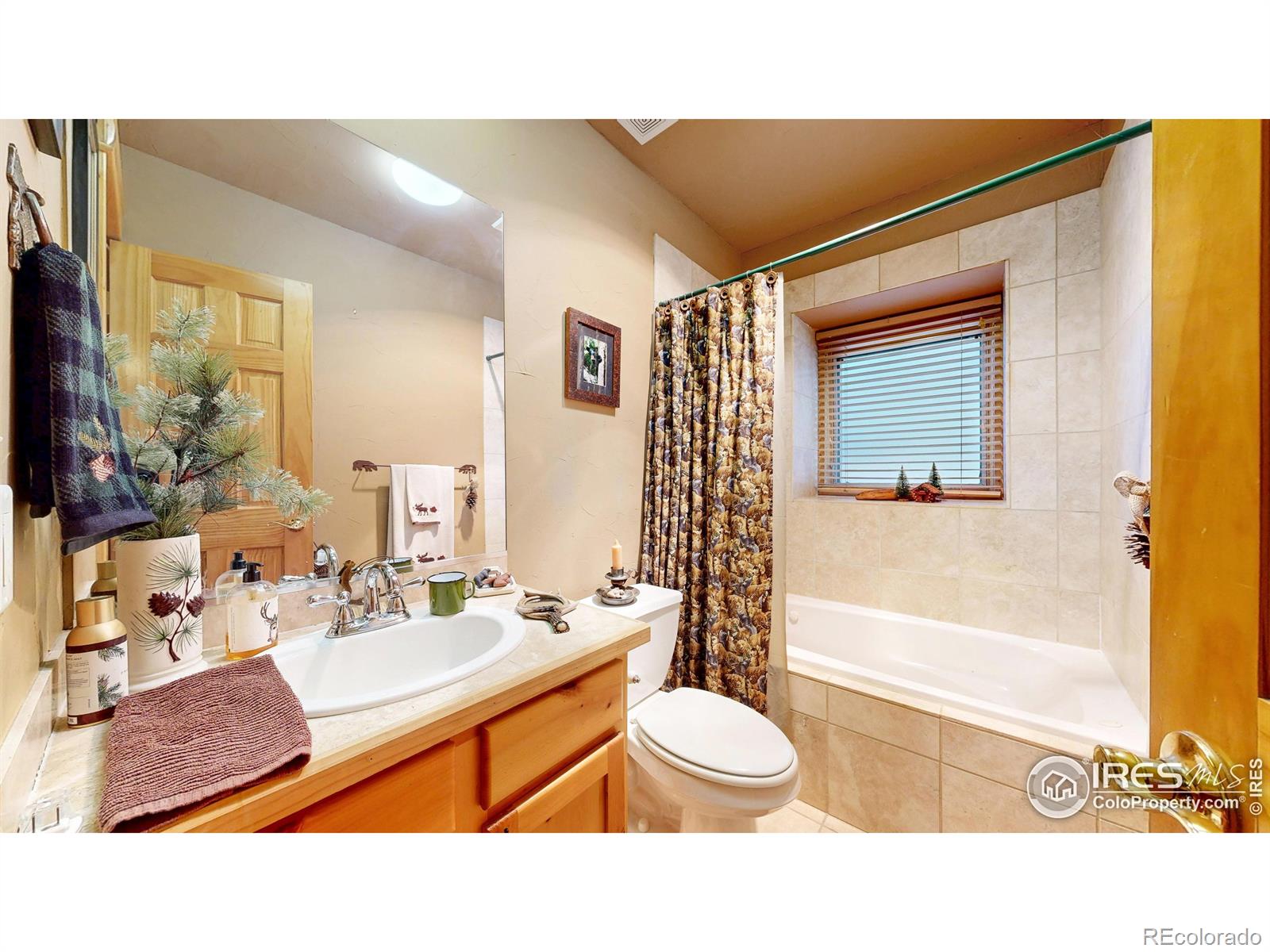 MLS Image #11 for 1280  fall river road,estes park, Colorado
