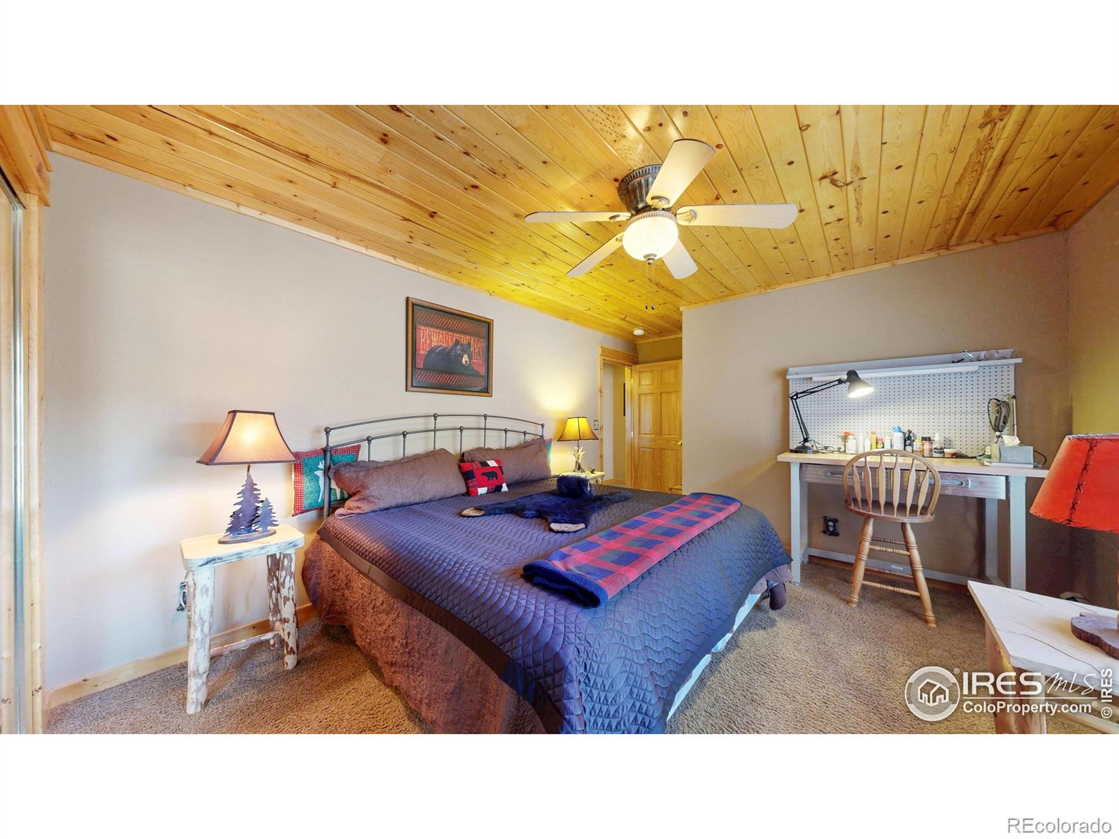MLS Image #12 for 1280  fall river road,estes park, Colorado
