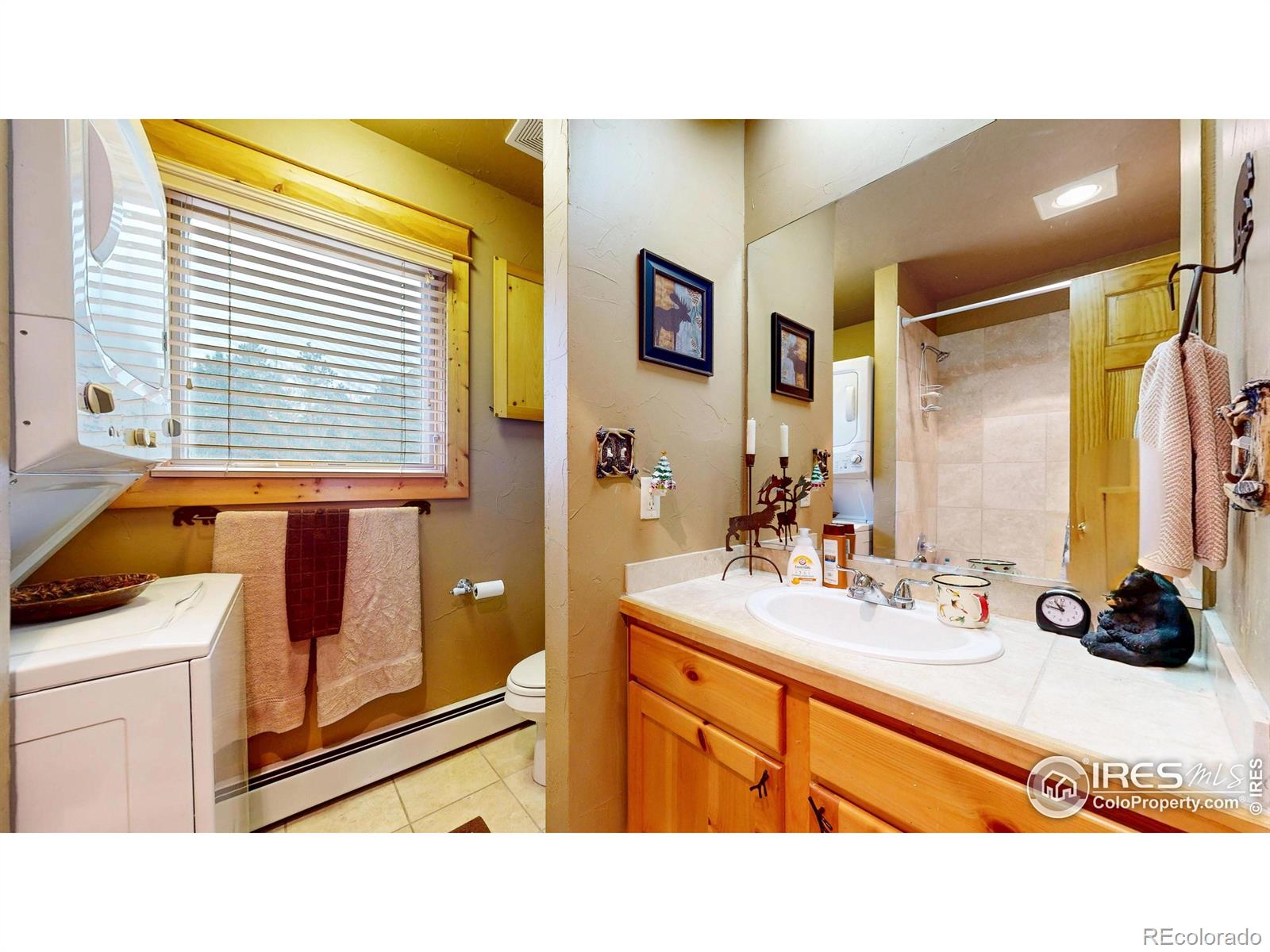 MLS Image #14 for 1280  fall river road,estes park, Colorado