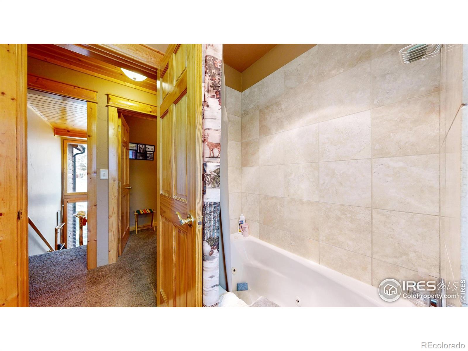 MLS Image #15 for 1280  fall river road,estes park, Colorado