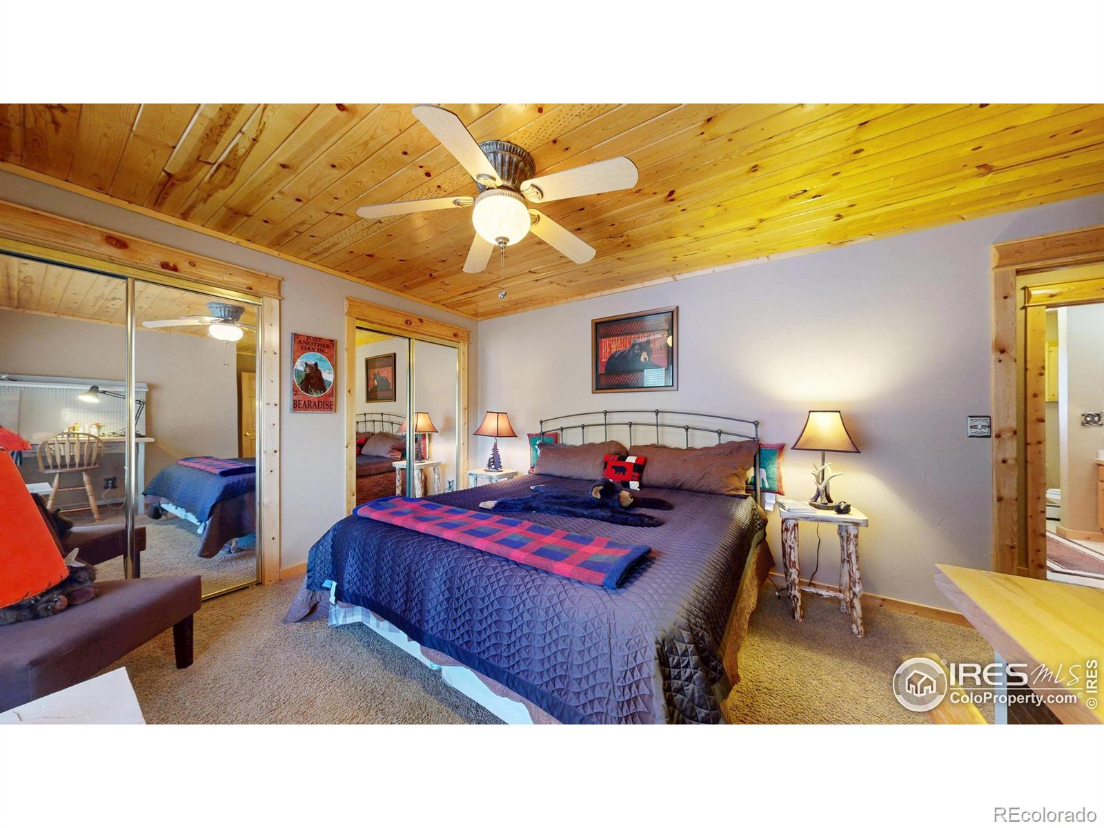 MLS Image #7 for 1280  fall river road,estes park, Colorado